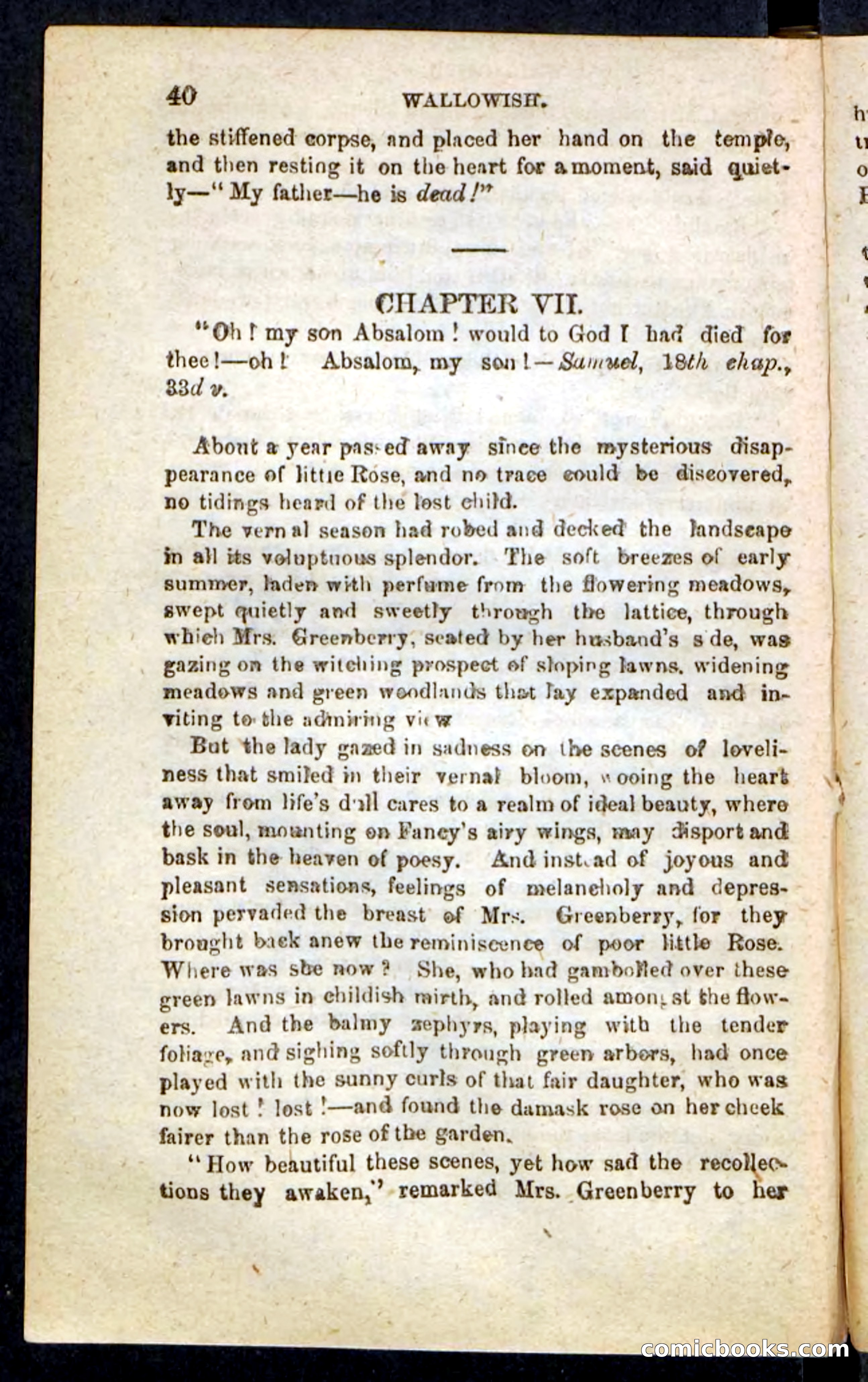 Beadle's Pocket Novels No. 217: Witch of the Wallowish — page 36 of 100