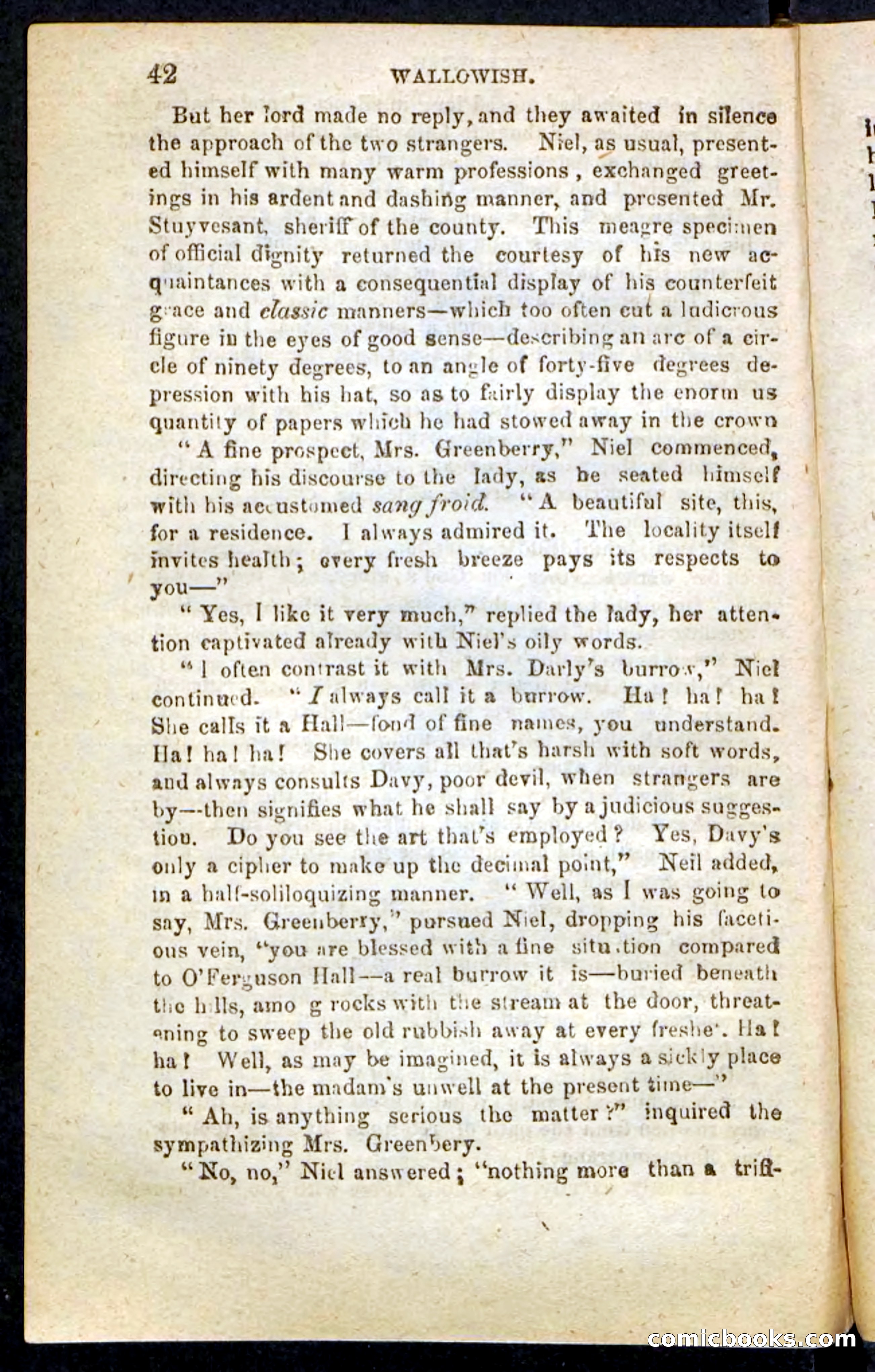 Beadle's Pocket Novels No. 217: Witch of the Wallowish — page 38 of 100