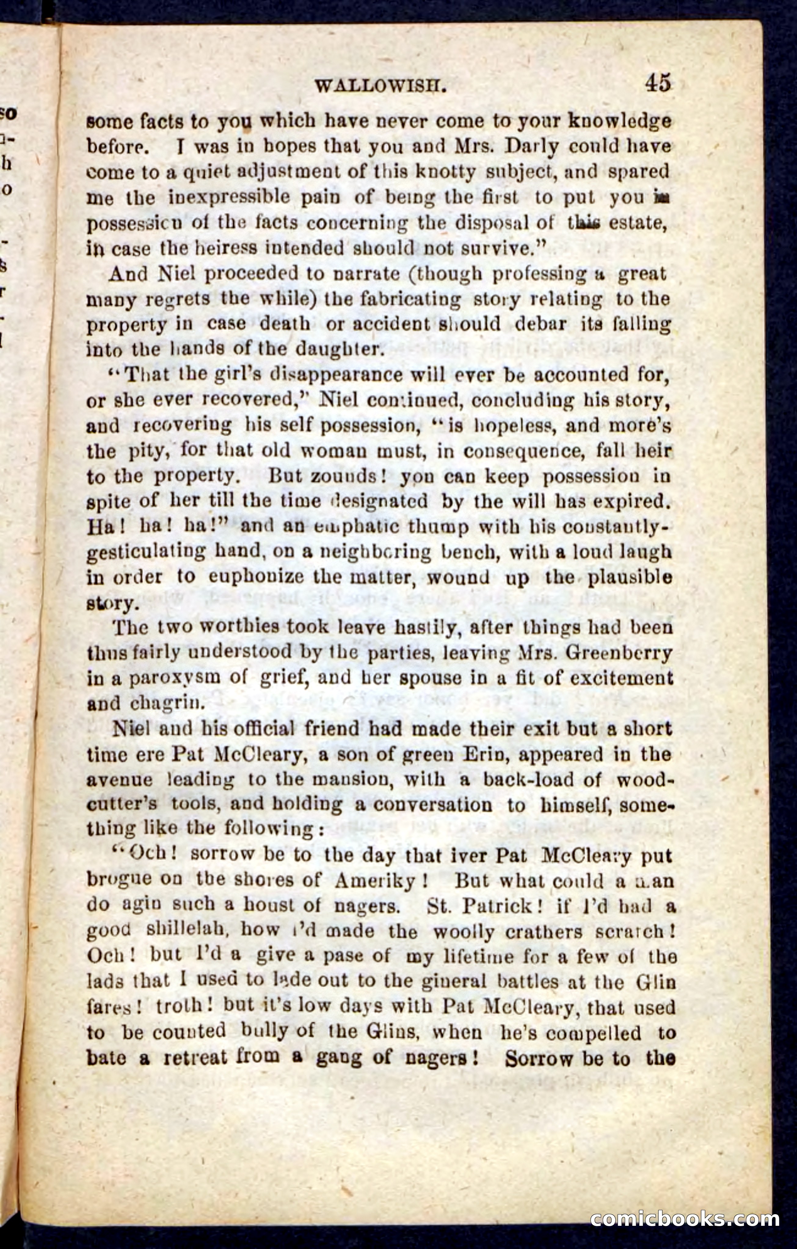 Beadle's Pocket Novels No. 217: Witch of the Wallowish — page 41 of 100