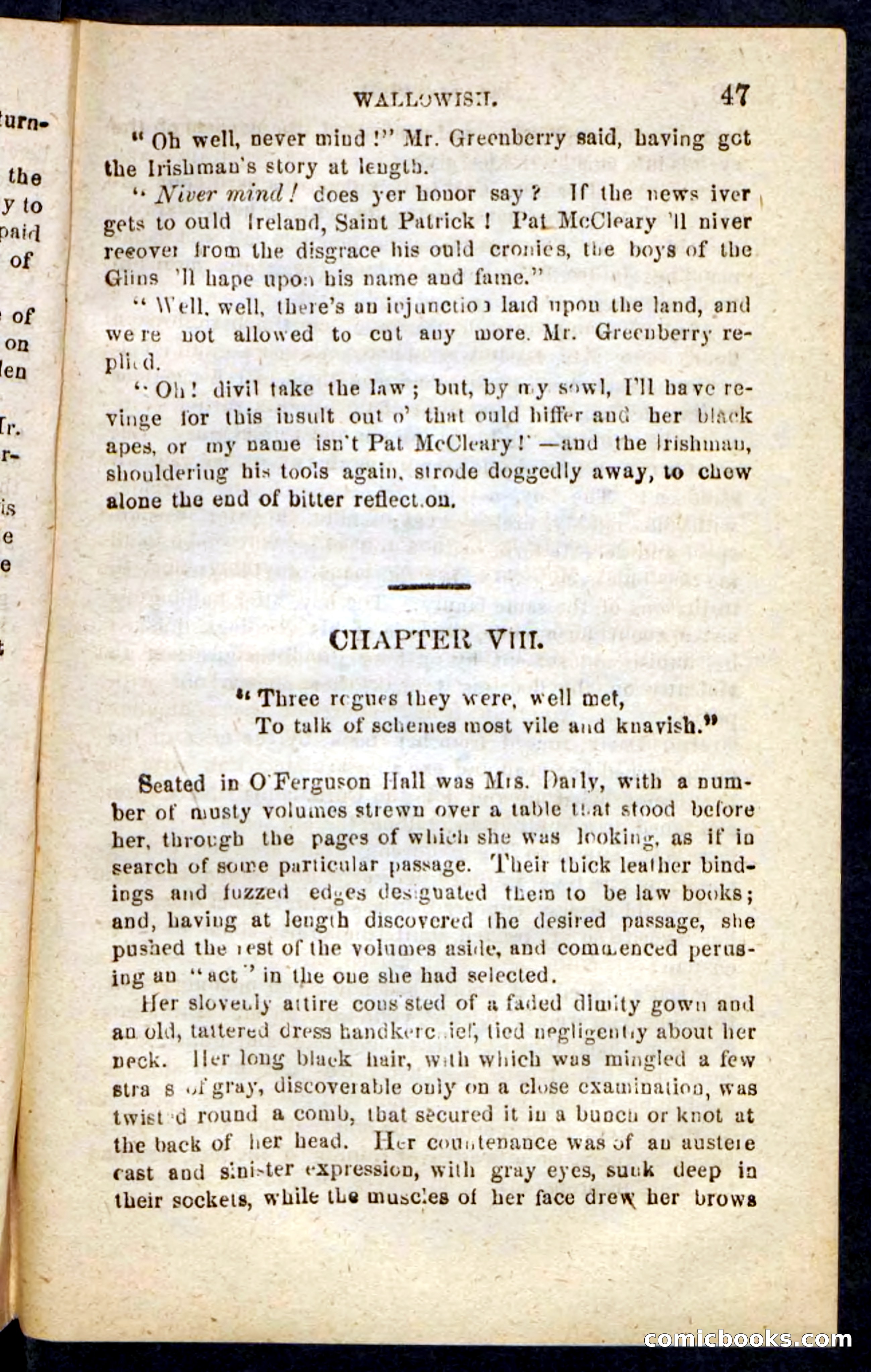 Beadle's Pocket Novels No. 217: Witch of the Wallowish — page 43 of 100