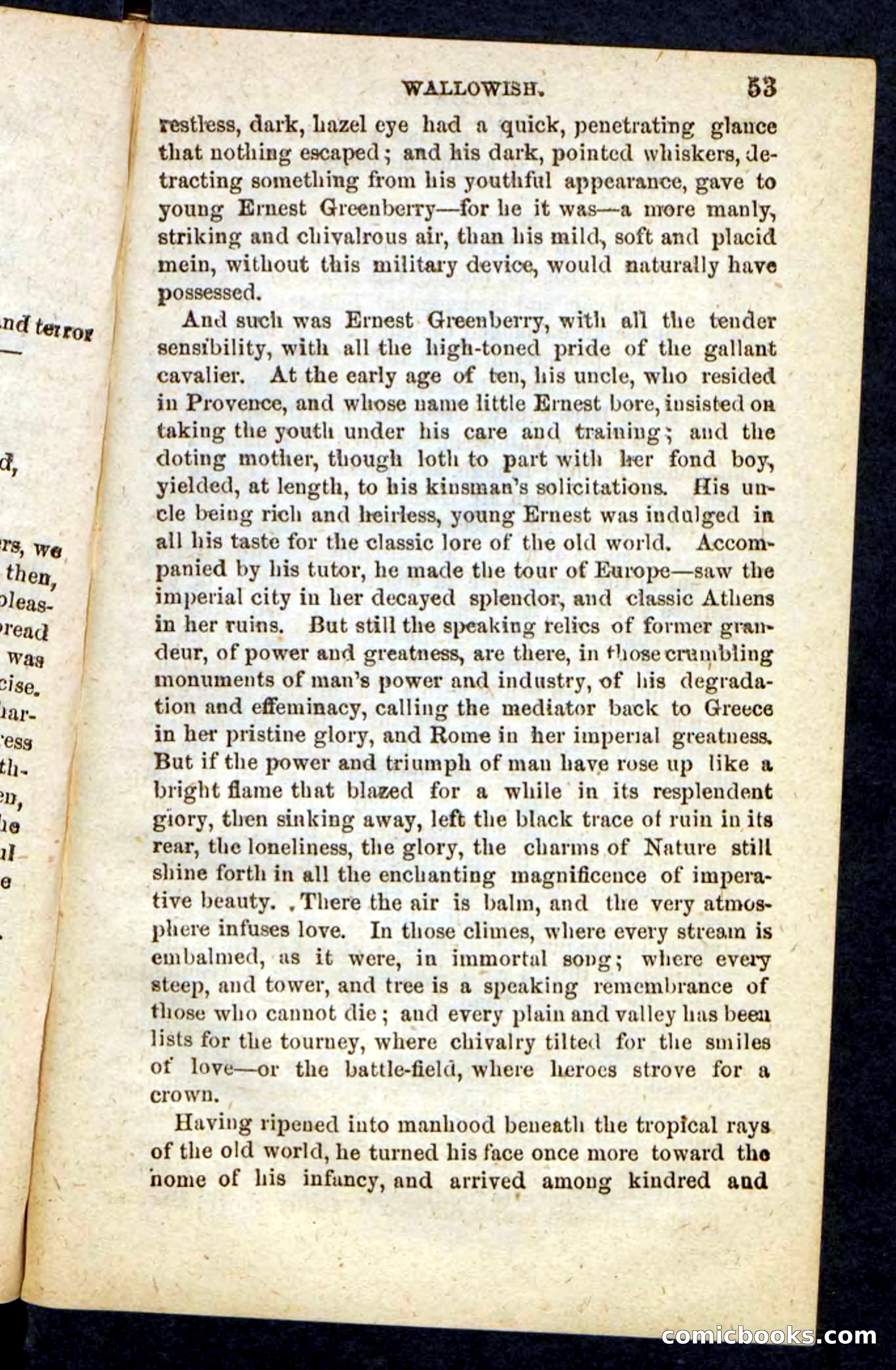 Beadle's Pocket Novels No. 217: Witch of the Wallowish — page 49 of 100