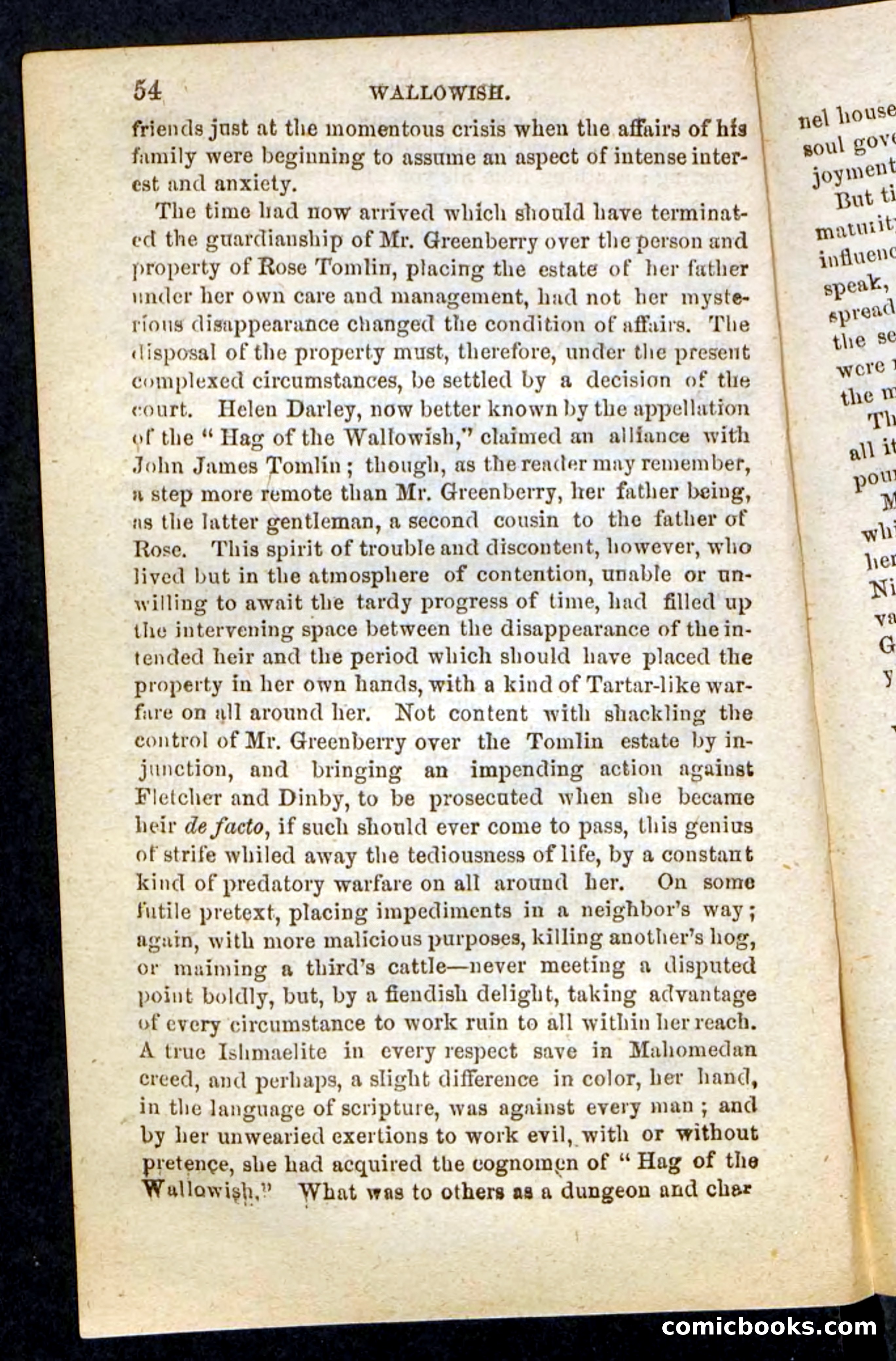 Beadle's Pocket Novels No. 217: Witch of the Wallowish — page 50 of 100