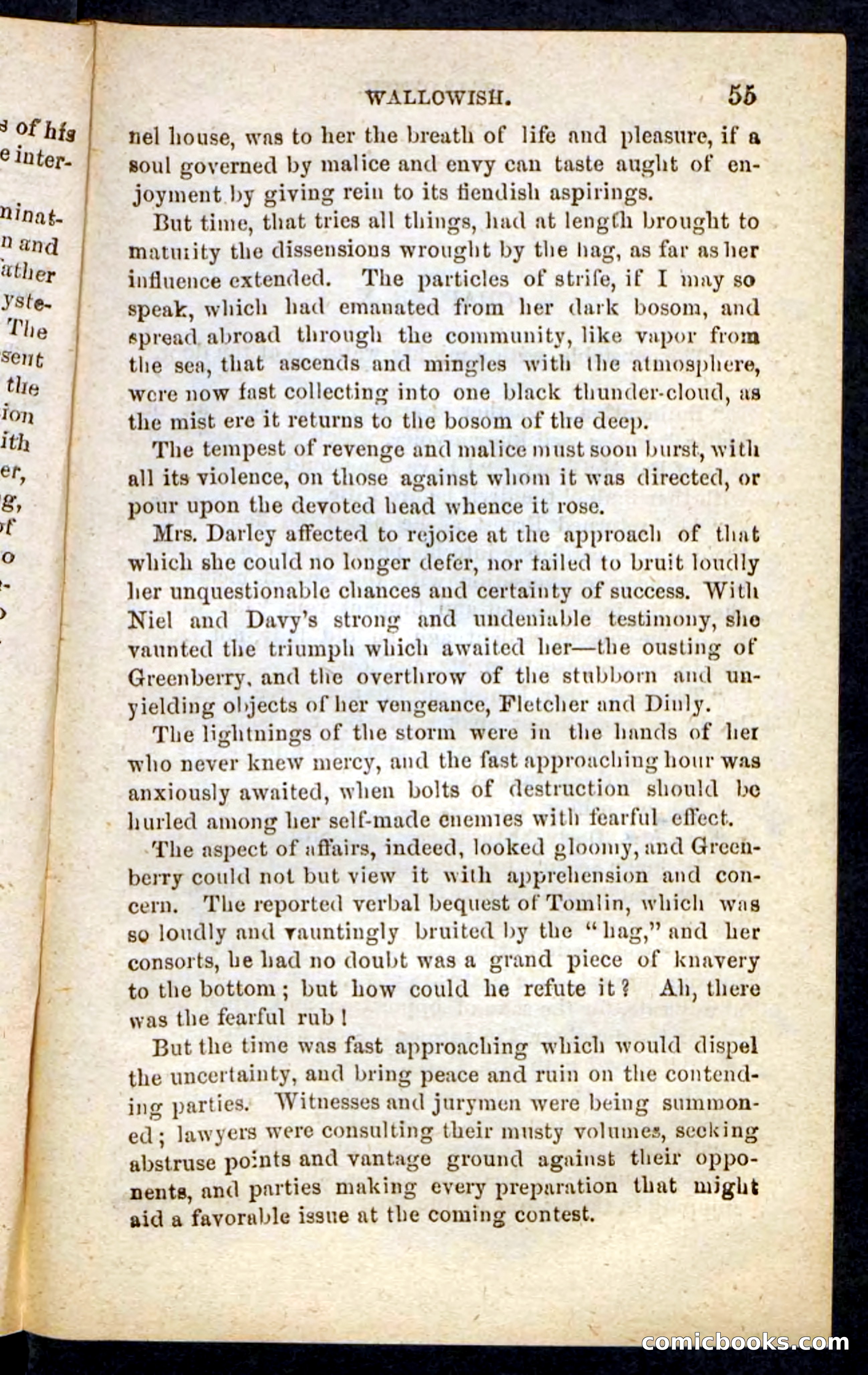 Beadle's Pocket Novels No. 217: Witch of the Wallowish — page 51 of 100