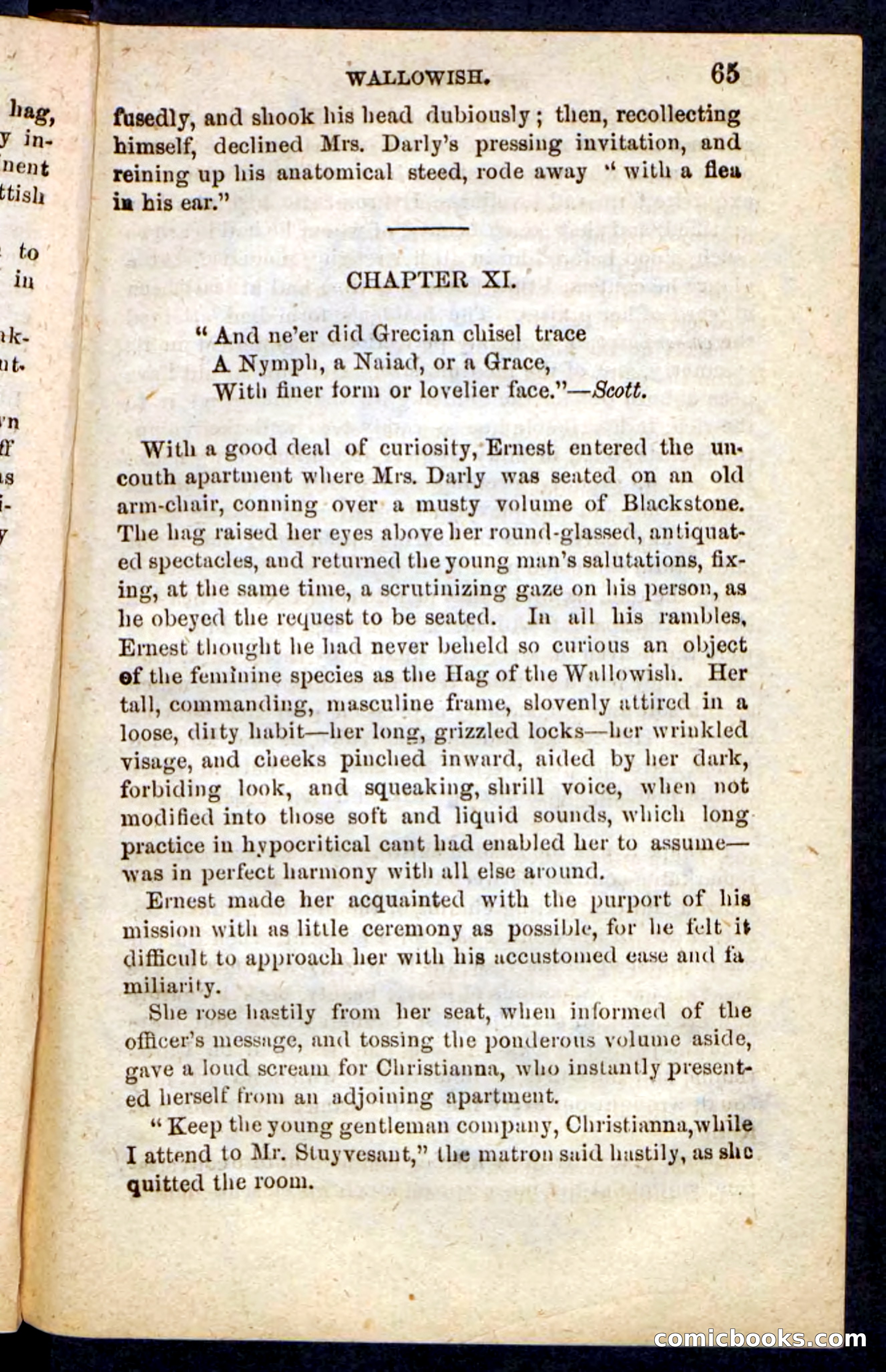 Beadle's Pocket Novels No. 217: Witch of the Wallowish — page 61 of 100