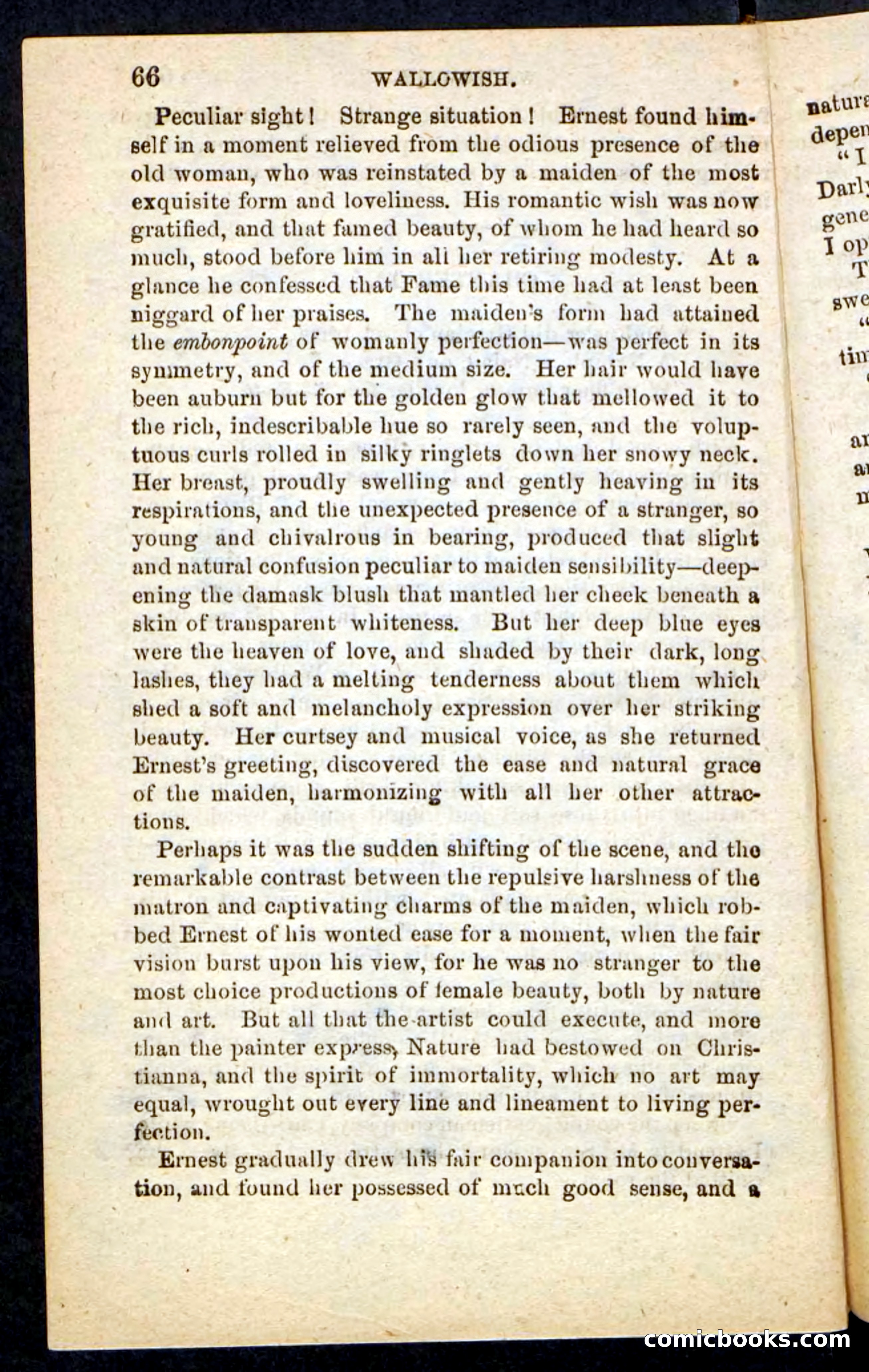 Beadle's Pocket Novels No. 217: Witch of the Wallowish — page 62 of 100