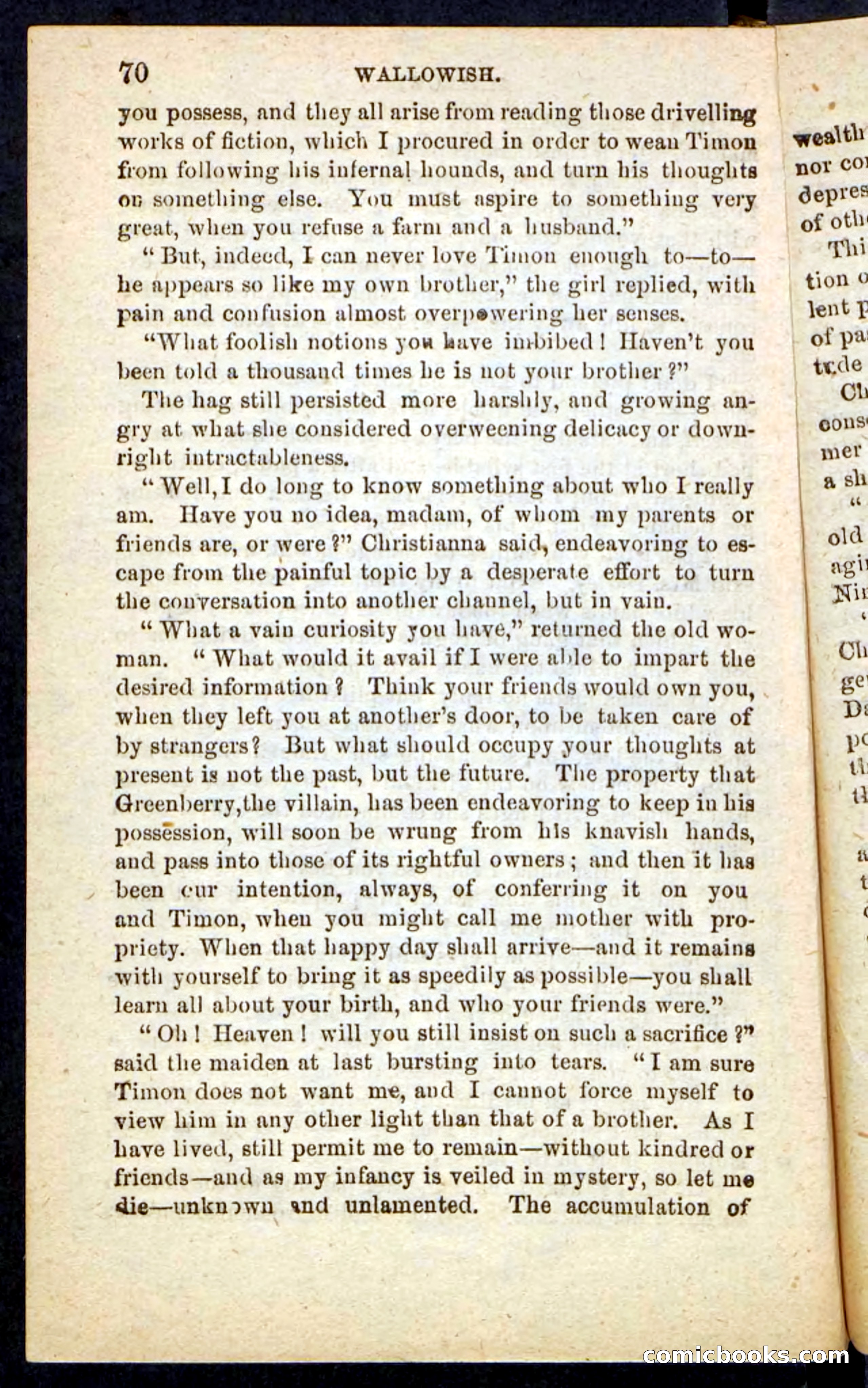 Beadle's Pocket Novels No. 217: Witch of the Wallowish — page 66 of 100