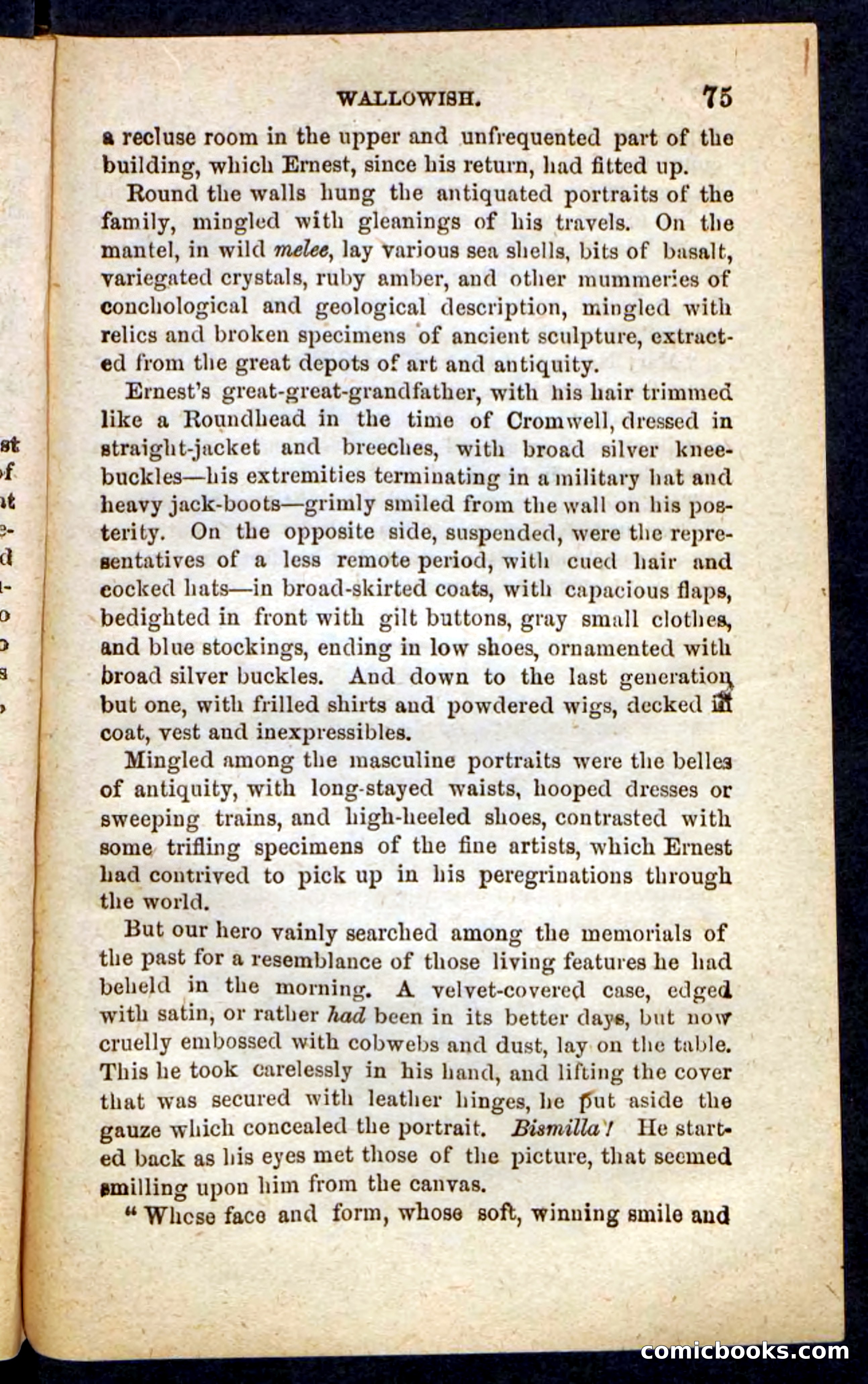 Beadle's Pocket Novels No. 217: Witch of the Wallowish — page 71 of 100