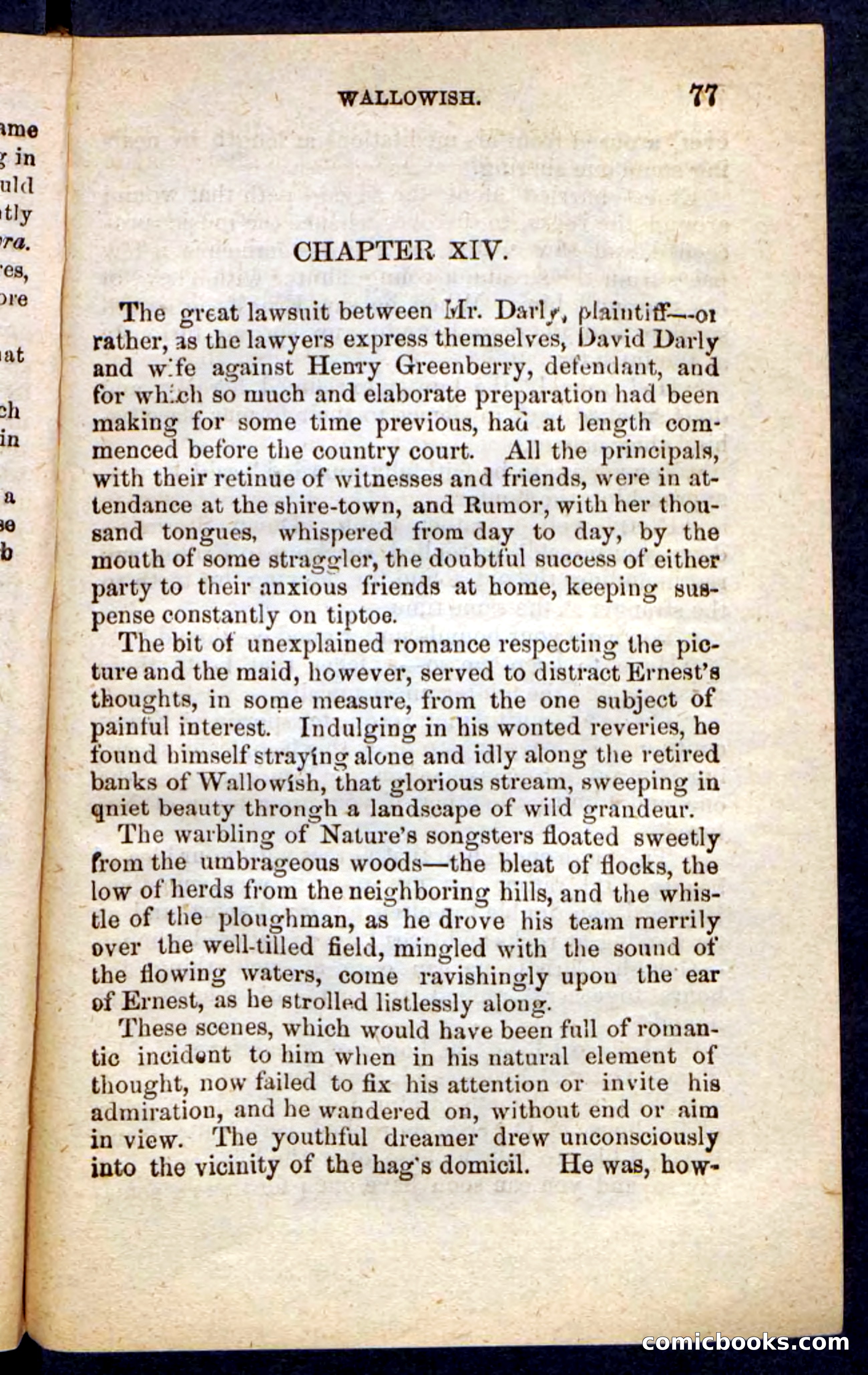 Beadle's Pocket Novels No. 217: Witch of the Wallowish — page 73 of 100