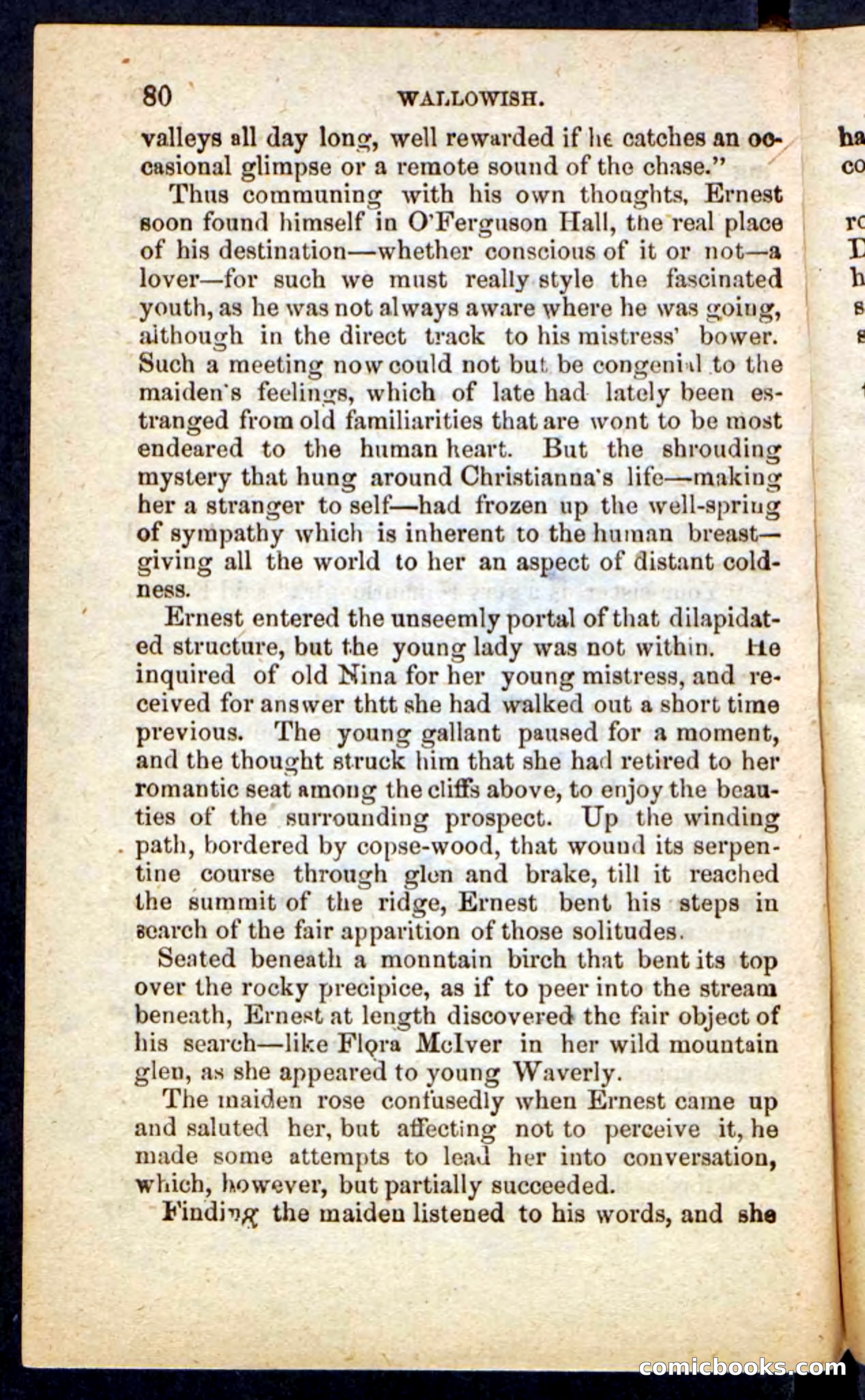 Beadle's Pocket Novels No. 217: Witch of the Wallowish — page 76 of 100