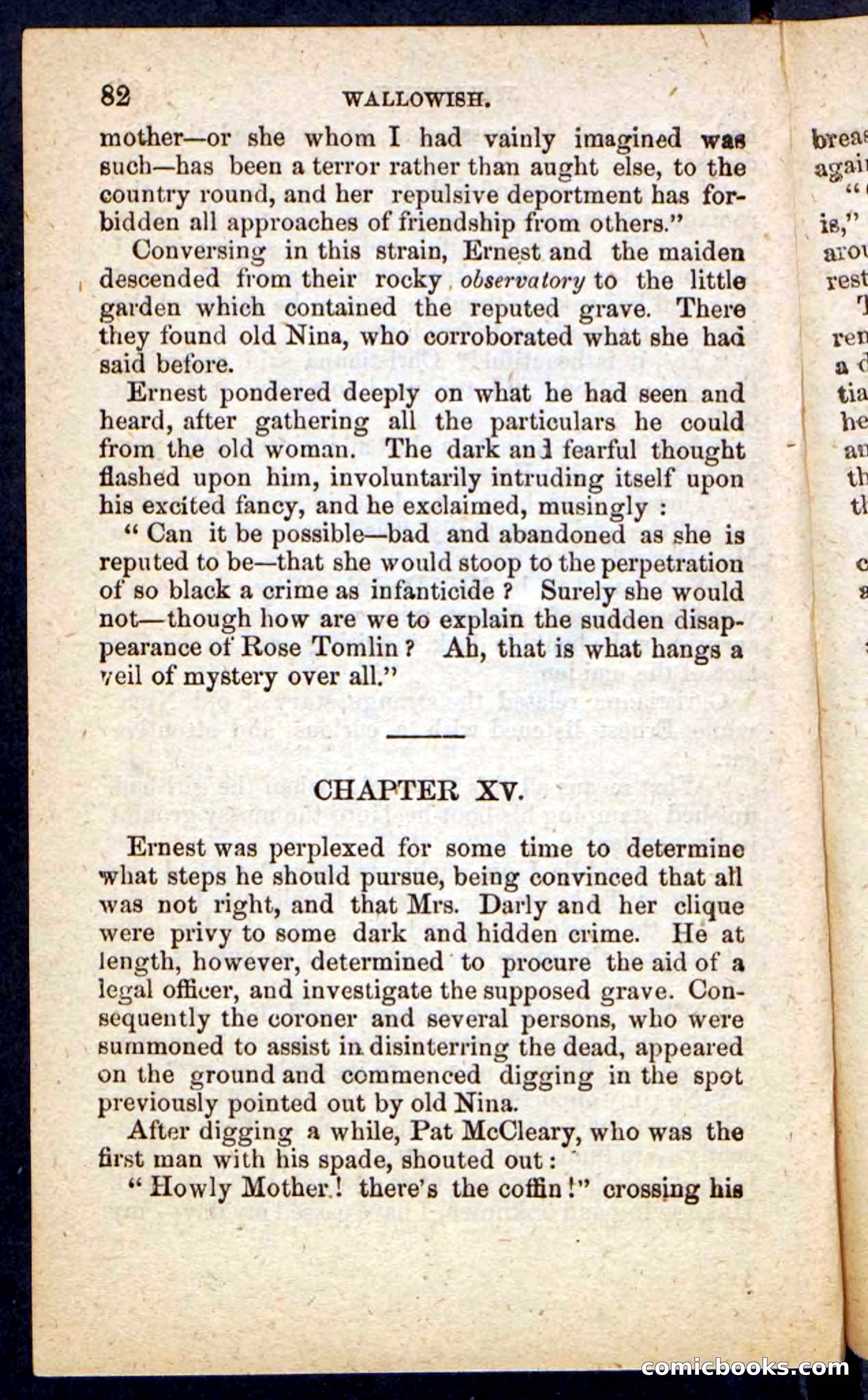 Beadle's Pocket Novels No. 217: Witch of the Wallowish — page 78 of 100