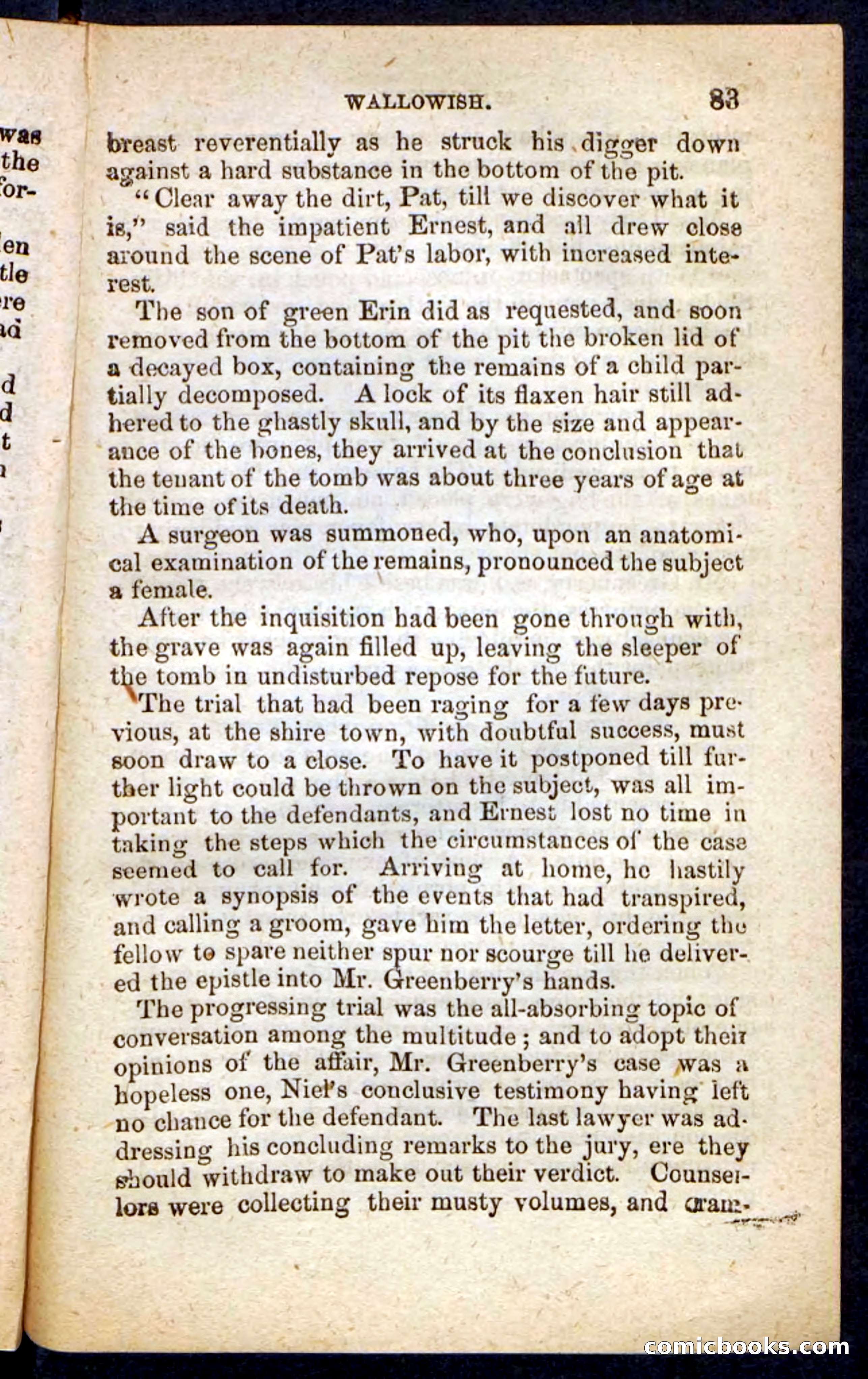 Beadle's Pocket Novels No. 217: Witch of the Wallowish — page 79 of 100