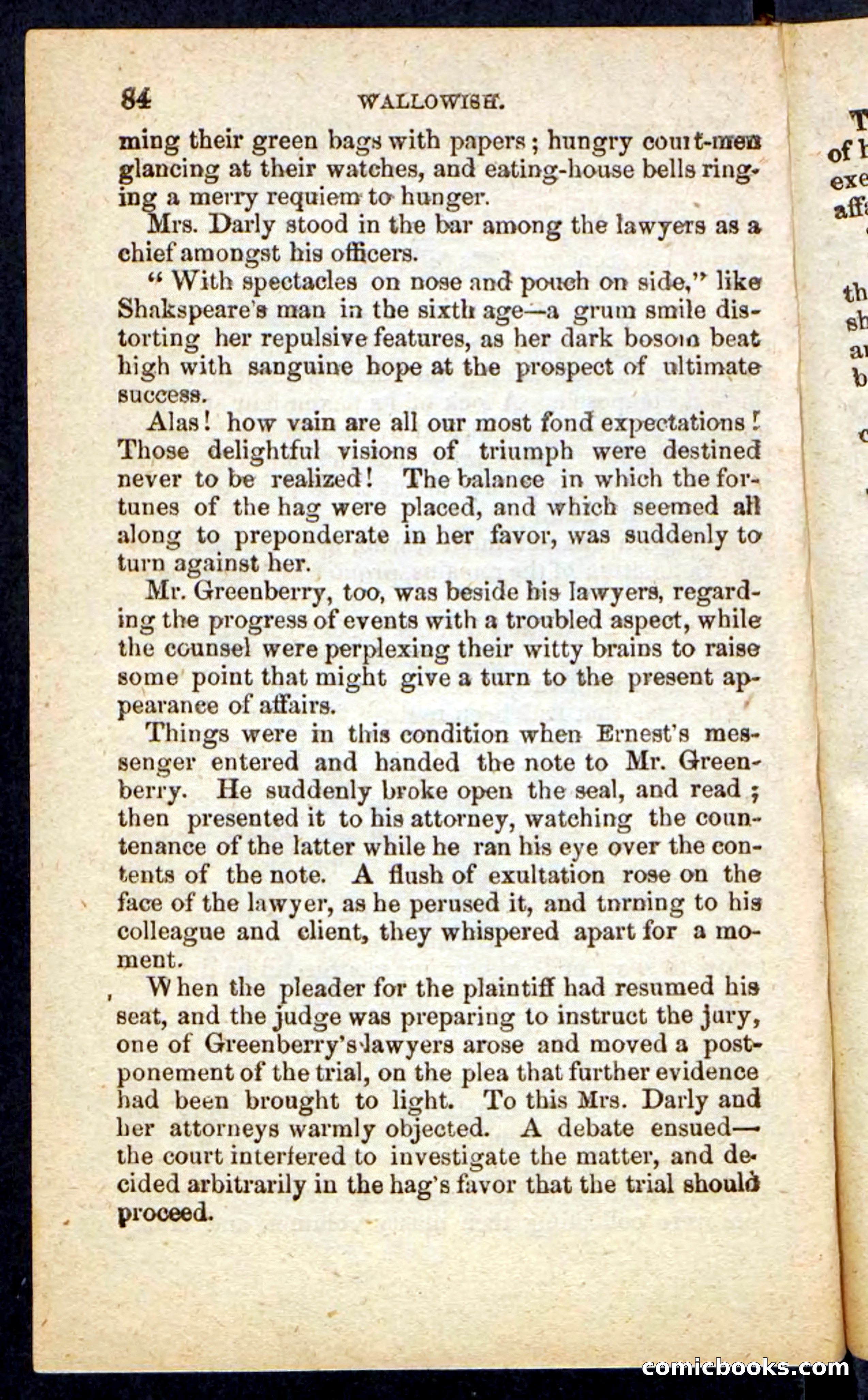 Beadle's Pocket Novels No. 217: Witch of the Wallowish — page 80 of 100