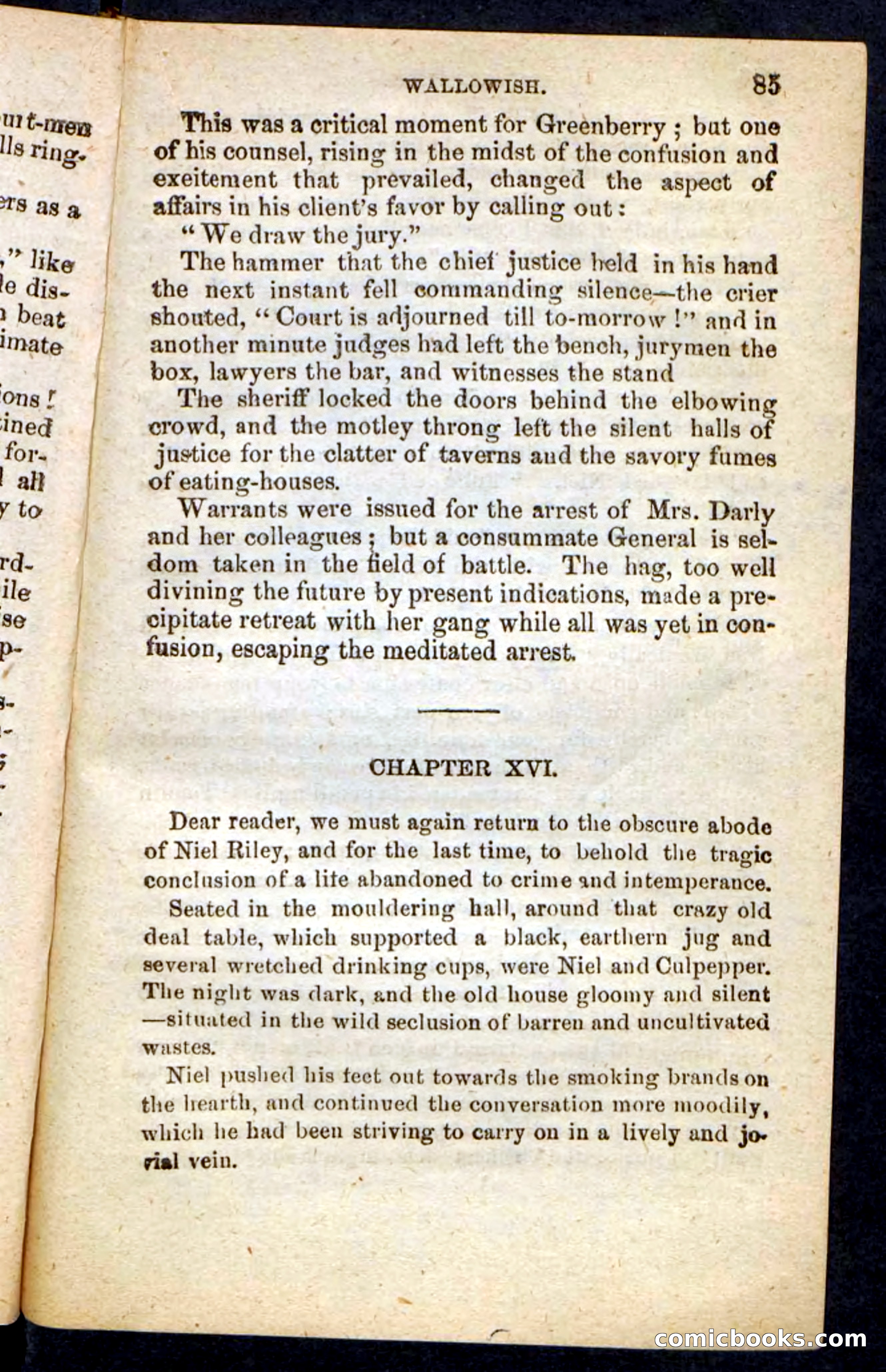 Beadle's Pocket Novels No. 217: Witch of the Wallowish — page 81 of 100