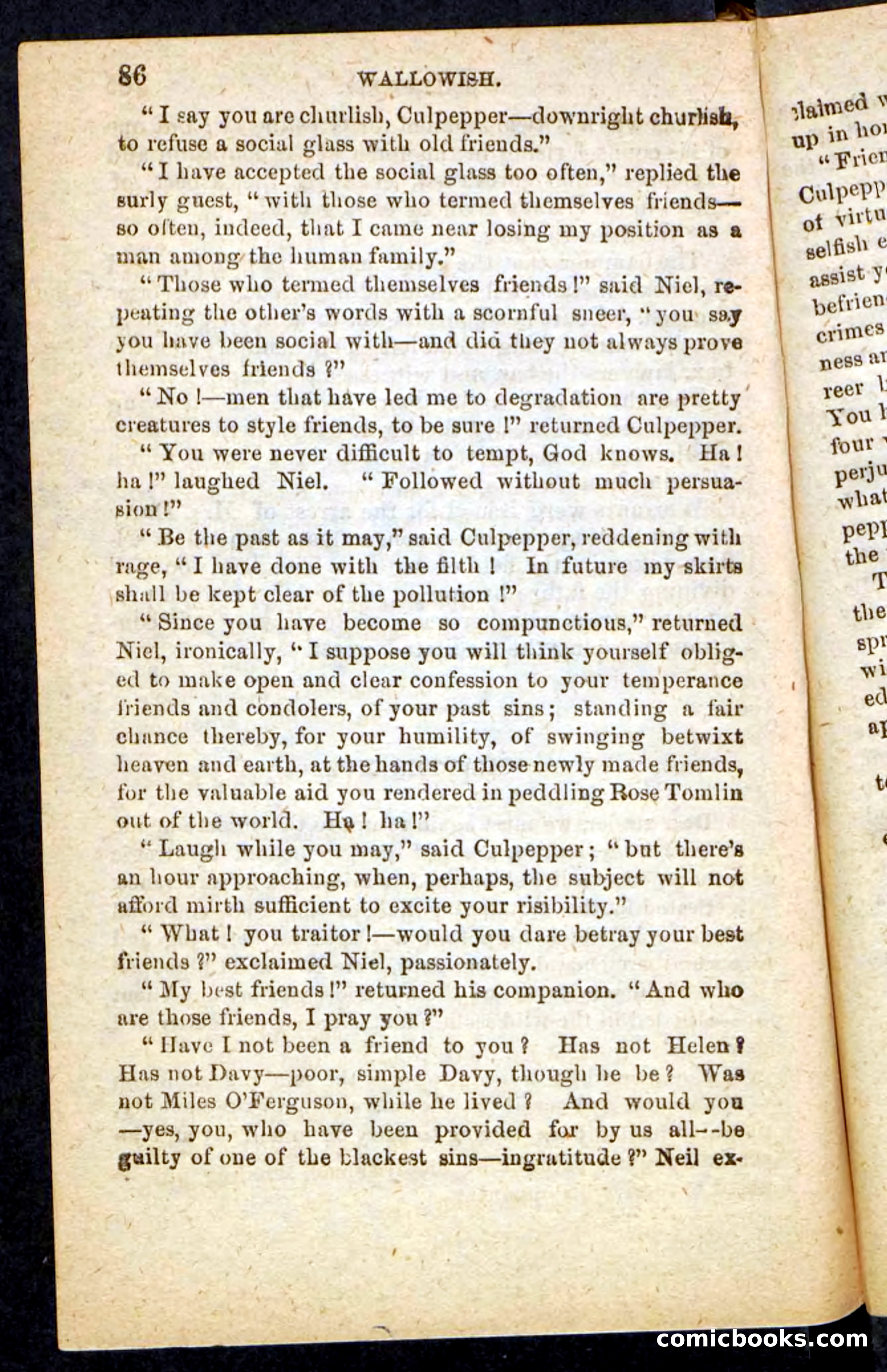 Beadle's Pocket Novels No. 217: Witch of the Wallowish — page 82 of 100