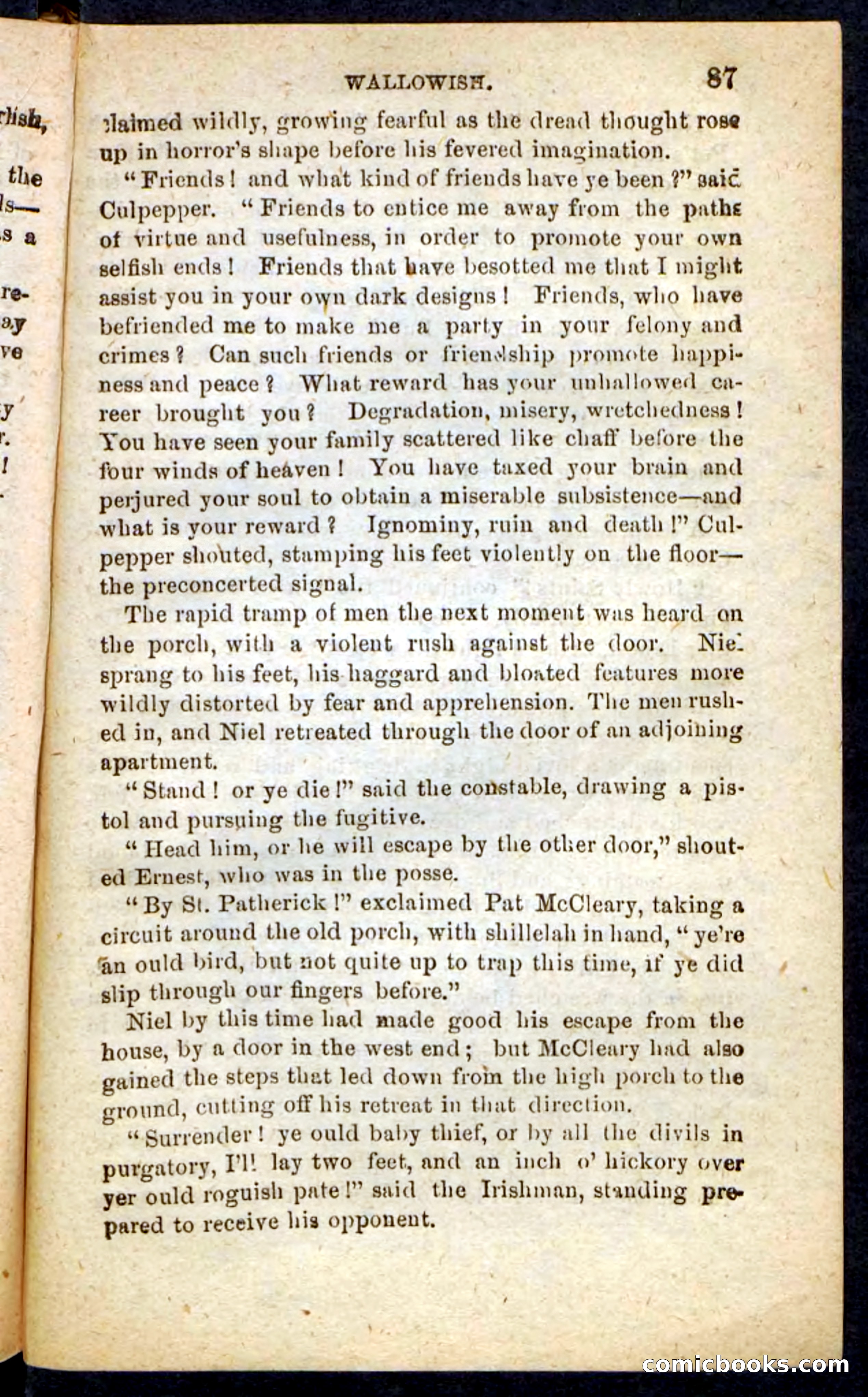 Beadle's Pocket Novels No. 217: Witch of the Wallowish — page 83 of 100