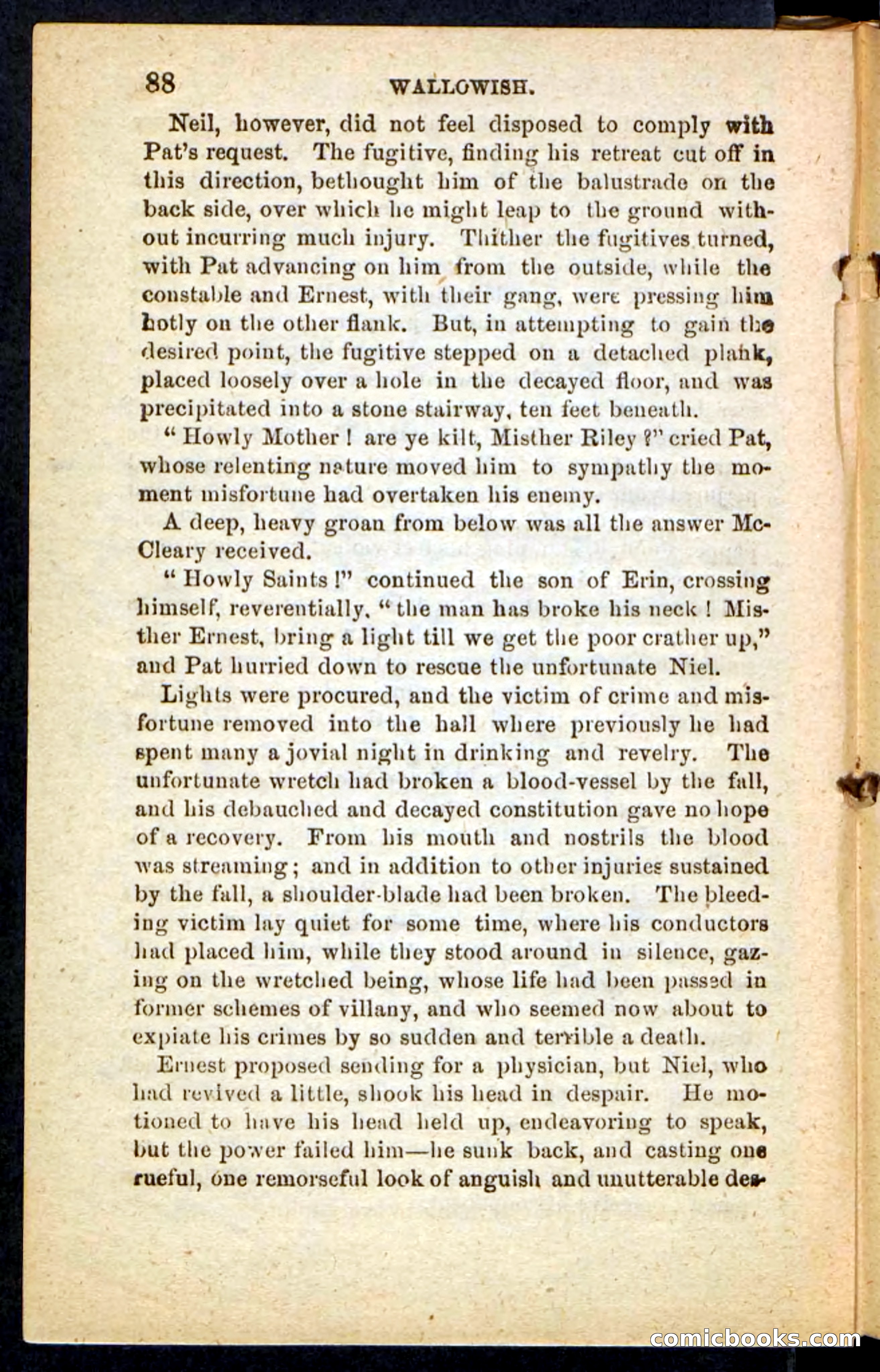 Beadle's Pocket Novels No. 217: Witch of the Wallowish — page 84 of 100