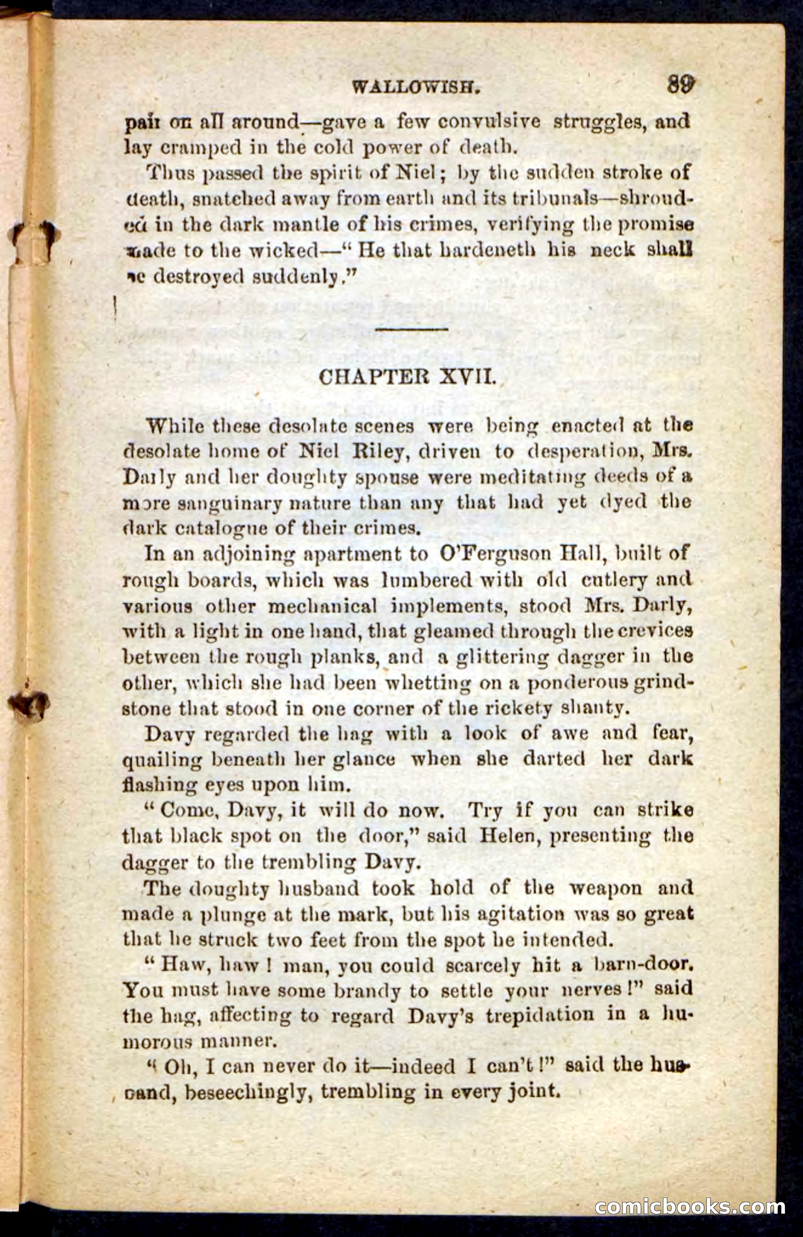 Beadle's Pocket Novels No. 217: Witch of the Wallowish — page 85 of 100