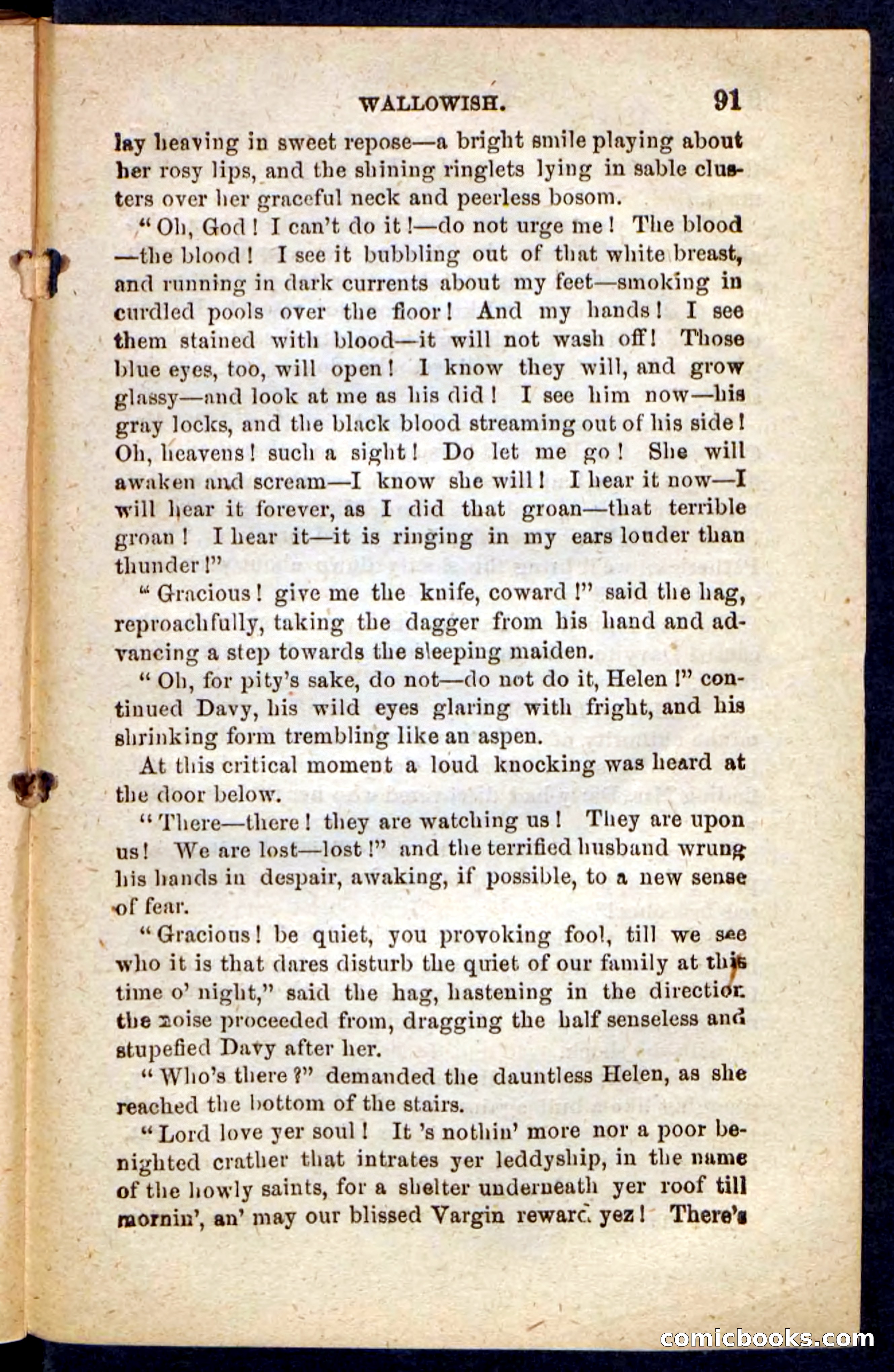 Beadle's Pocket Novels No. 217: Witch of the Wallowish — page 87 of 100