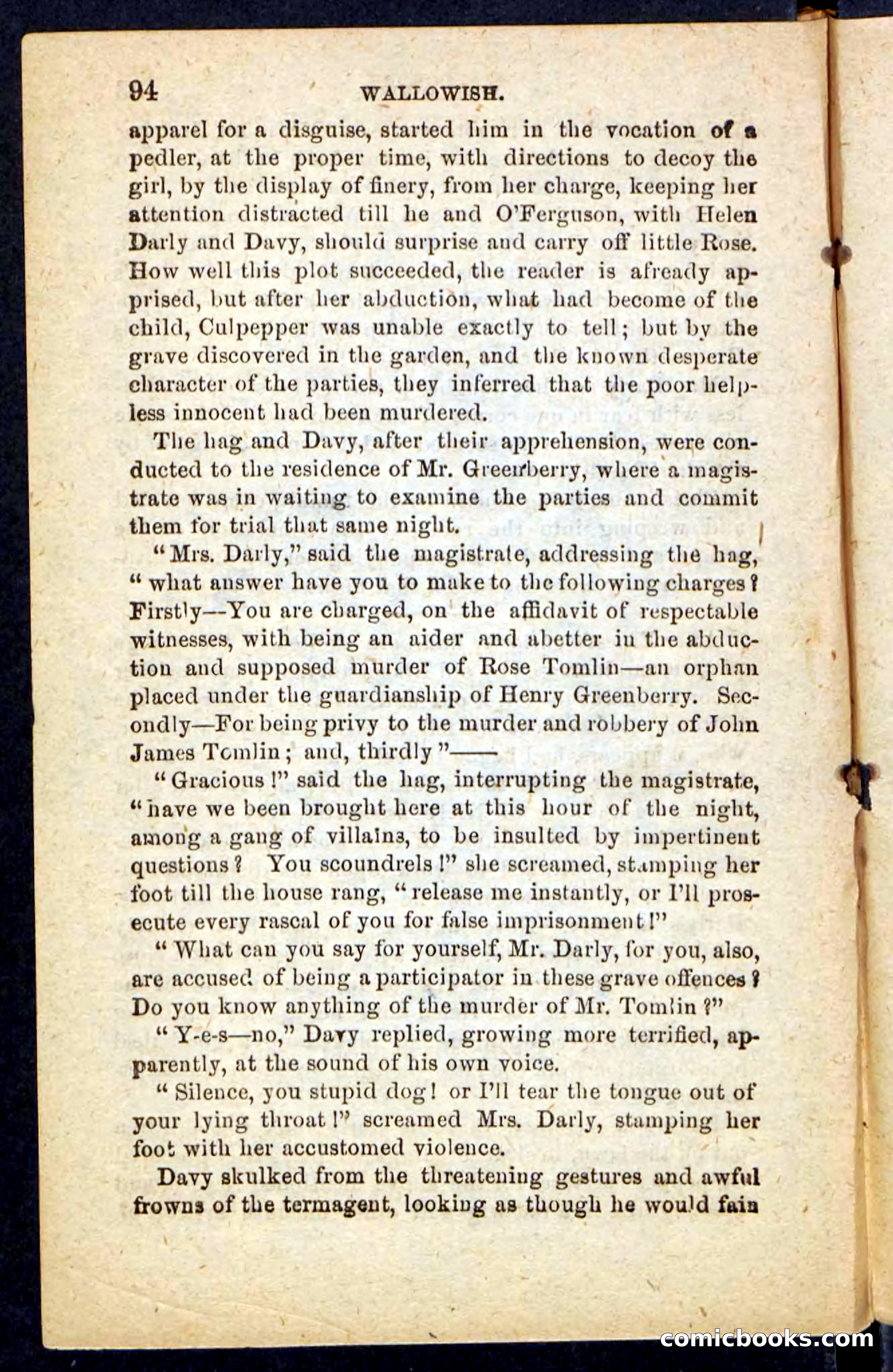 Beadle's Pocket Novels No. 217: Witch of the Wallowish — page 90 of 100