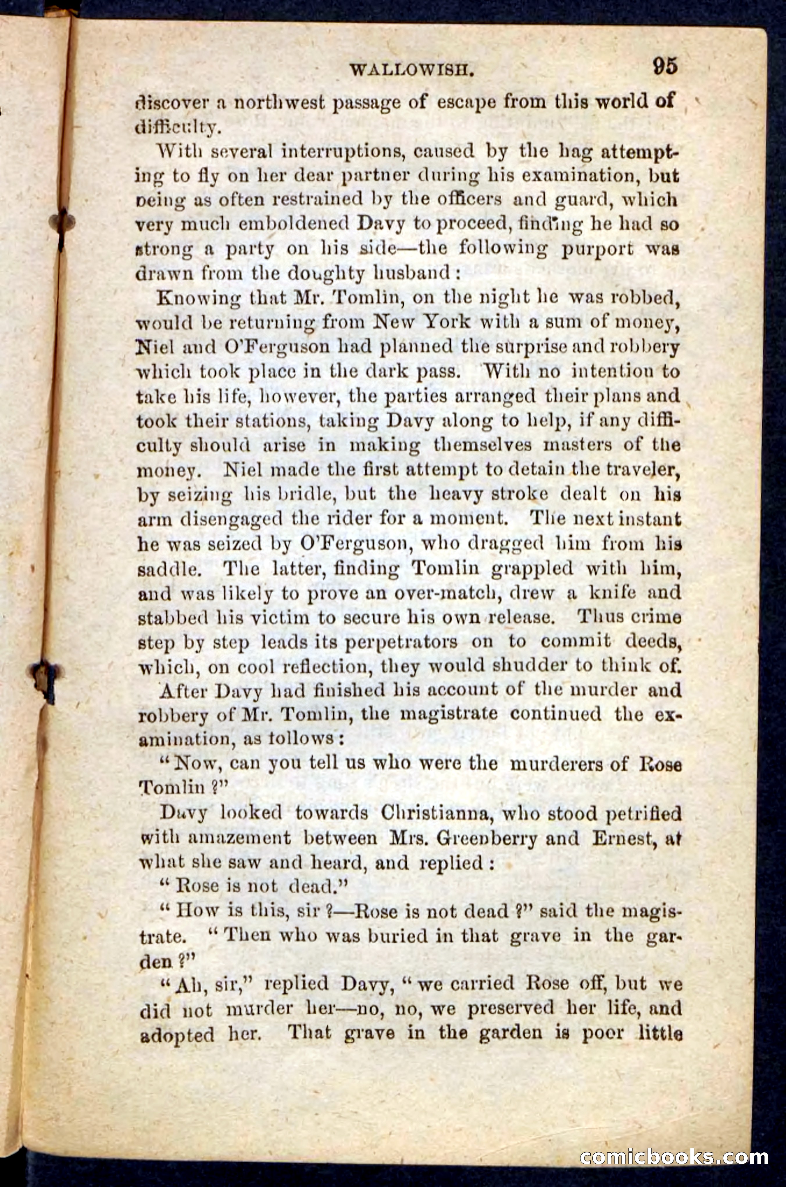 Beadle's Pocket Novels No. 217: Witch of the Wallowish — page 91 of 100