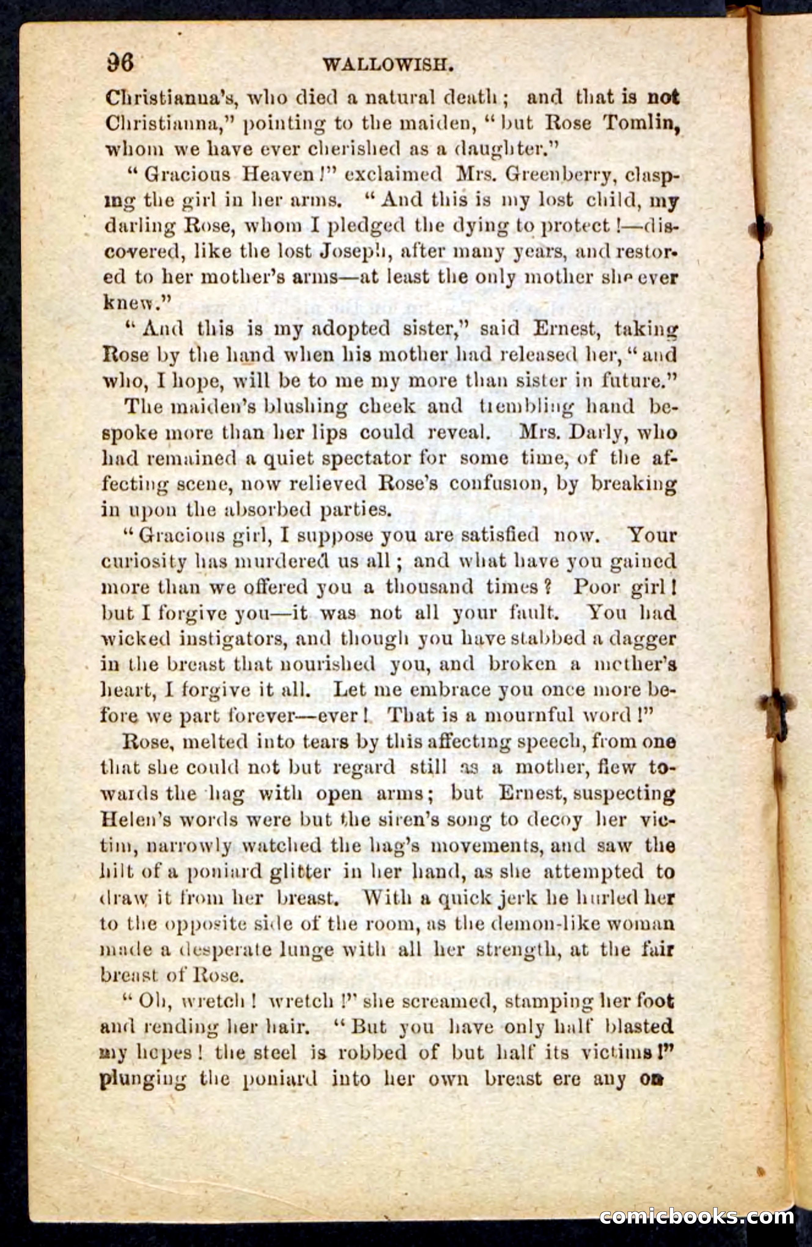 Beadle's Pocket Novels No. 217: Witch of the Wallowish — page 92 of 100