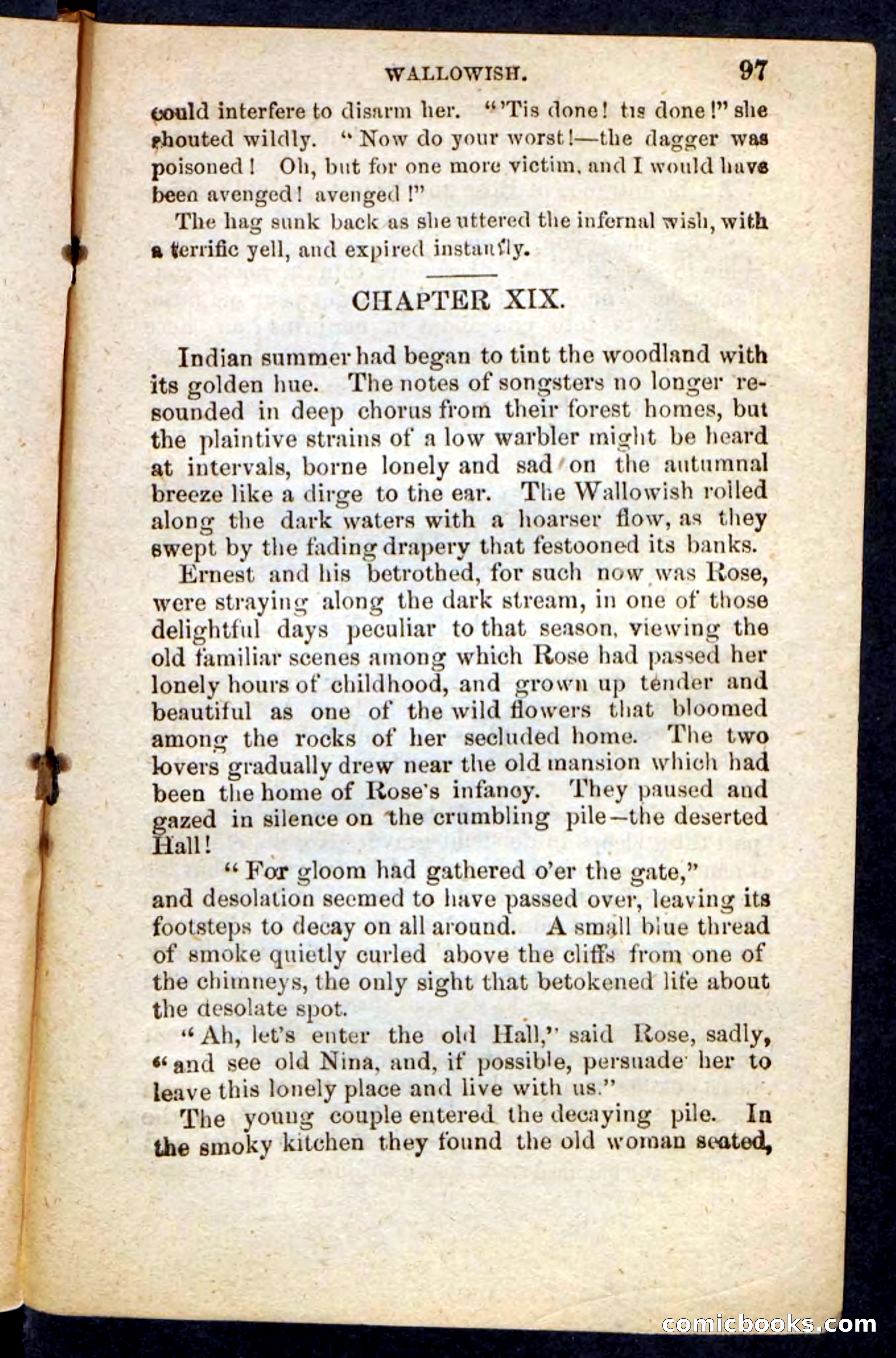 Beadle's Pocket Novels No. 217: Witch of the Wallowish — page 93 of 100