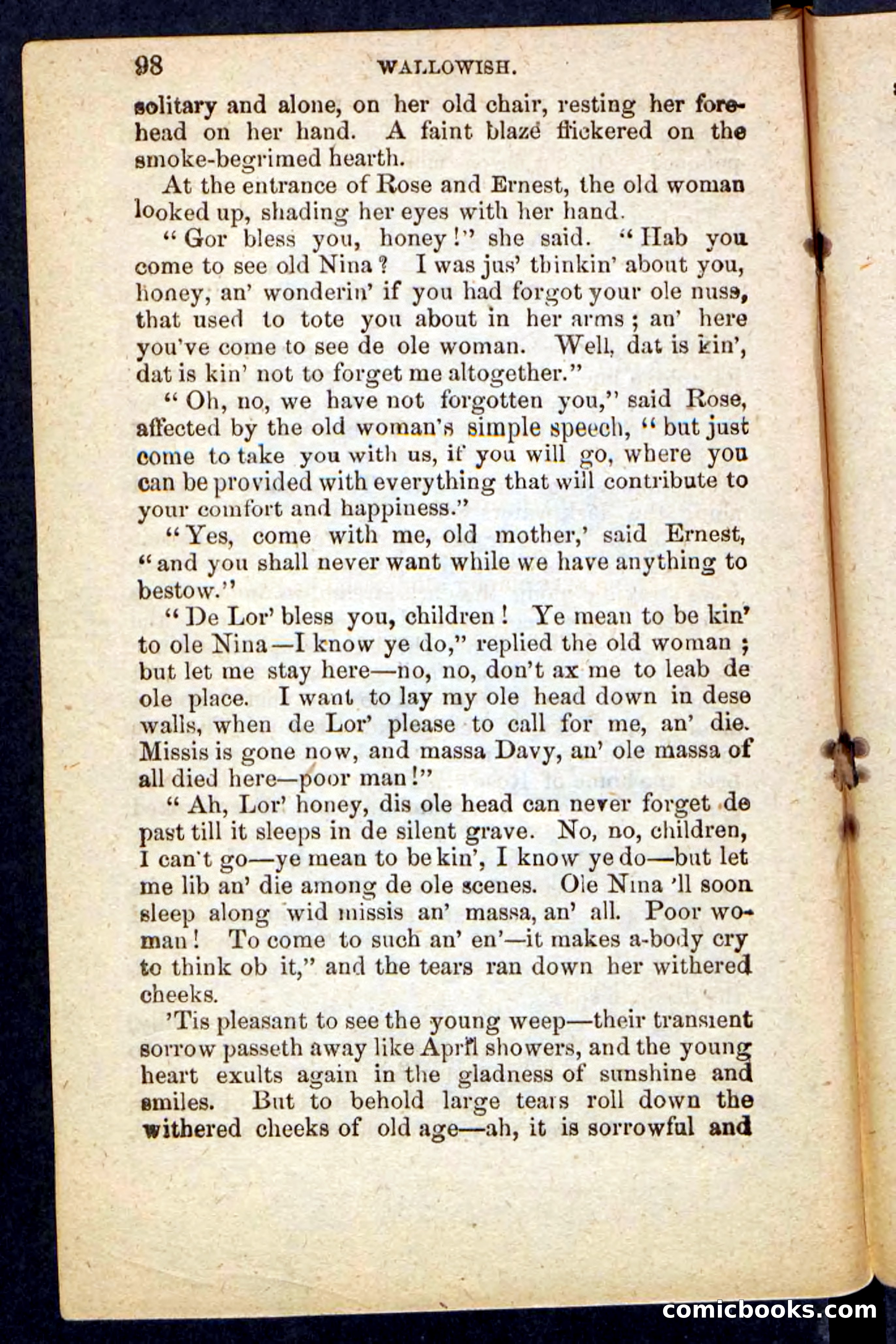 Beadle's Pocket Novels No. 217: Witch of the Wallowish — page 94 of 100
