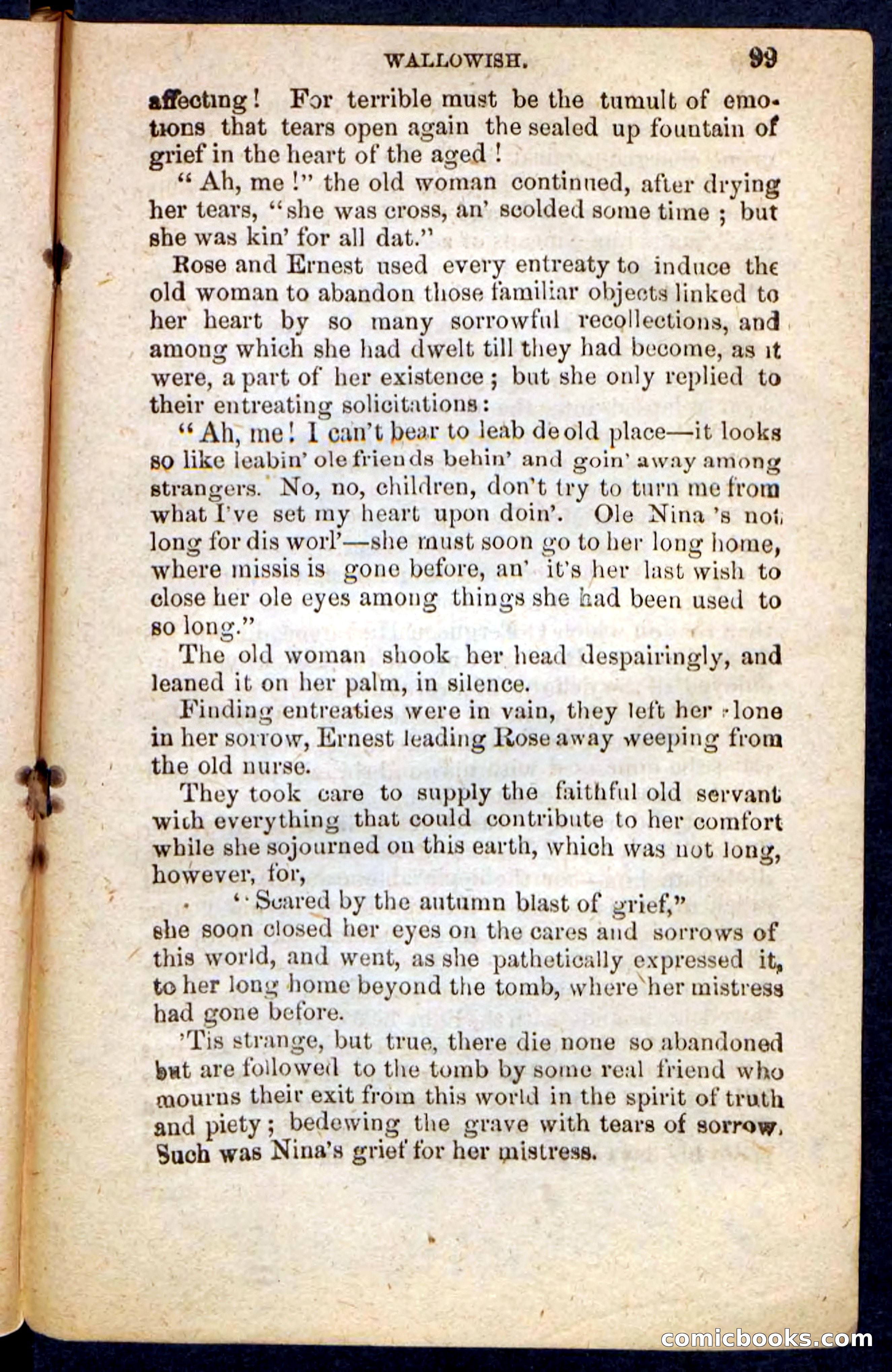 Beadle's Pocket Novels No. 217: Witch of the Wallowish — page 95 of 100