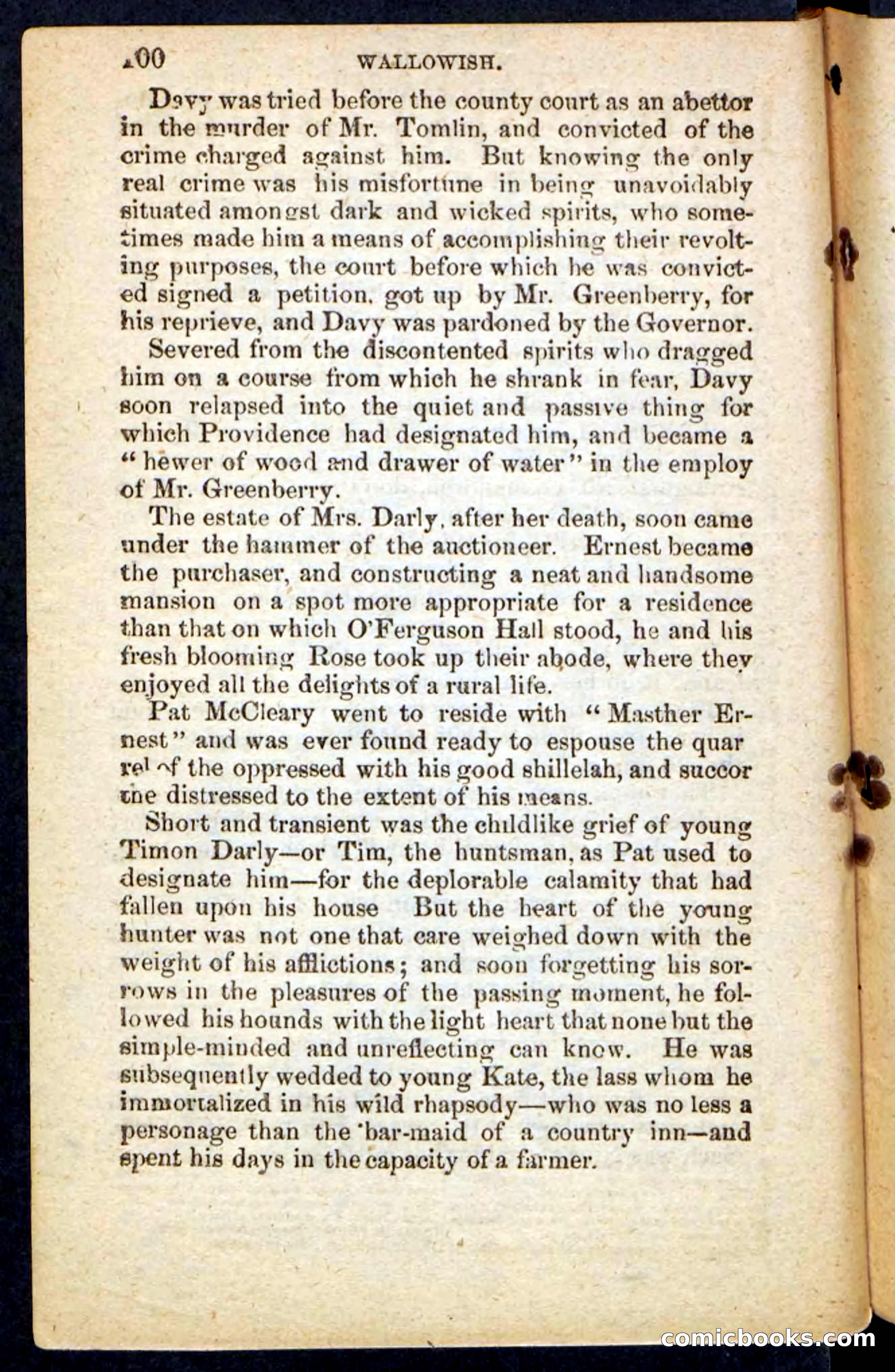 Beadle's Pocket Novels No. 217: Witch of the Wallowish — page 96 of 100