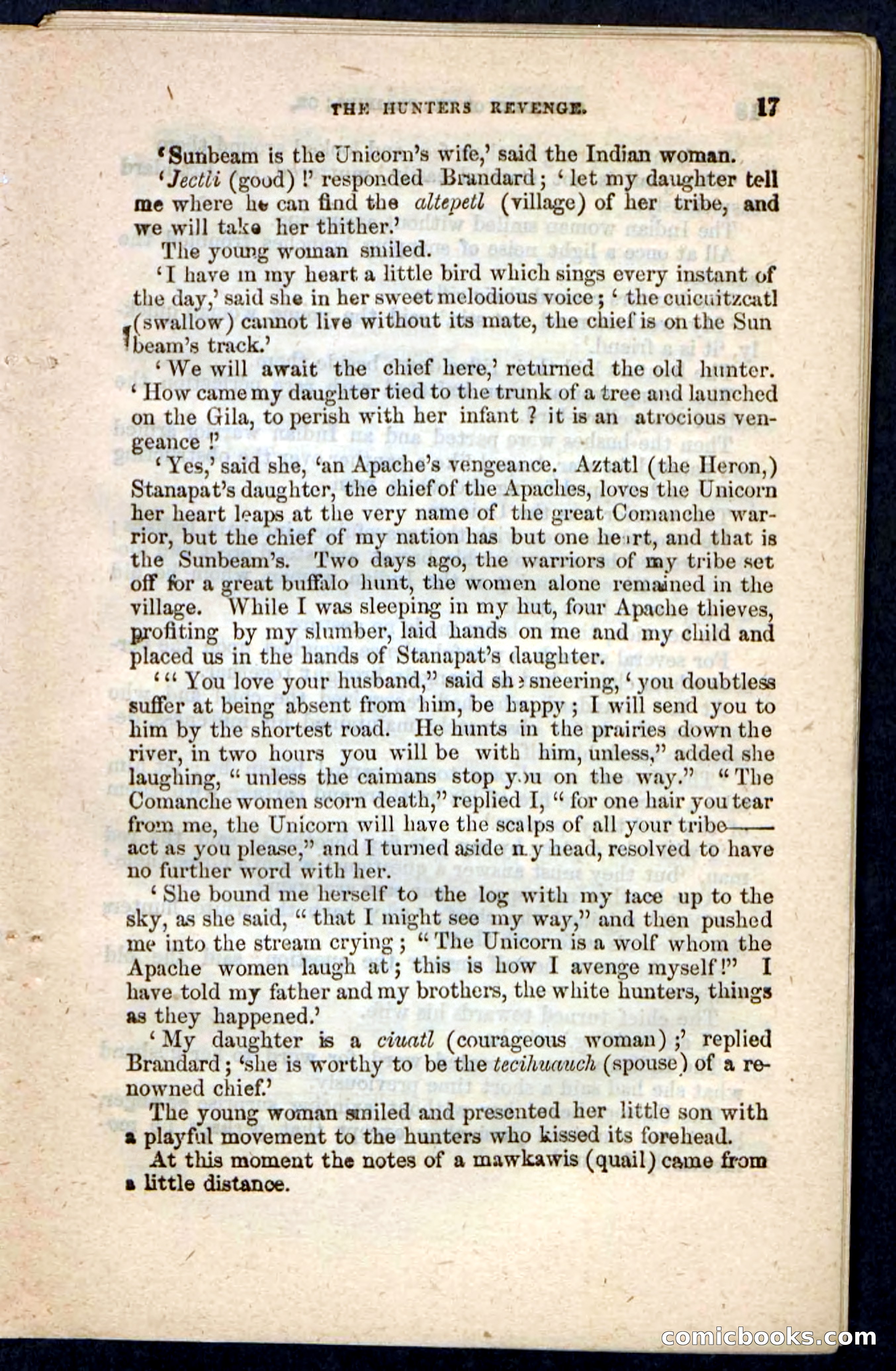 The Prairie Pirates — page 19 of 132