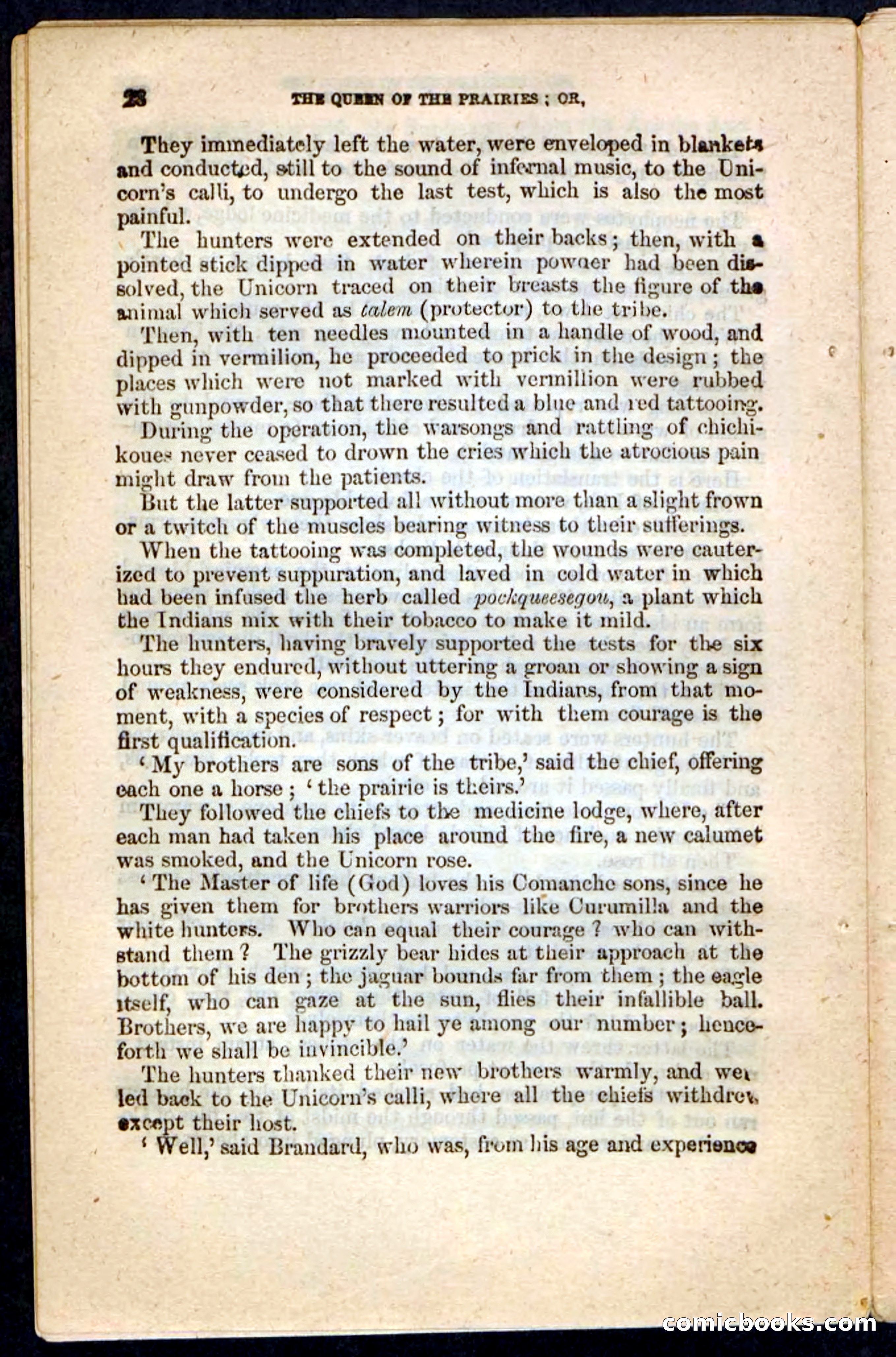 The Prairie Pirates — page 30 of 132