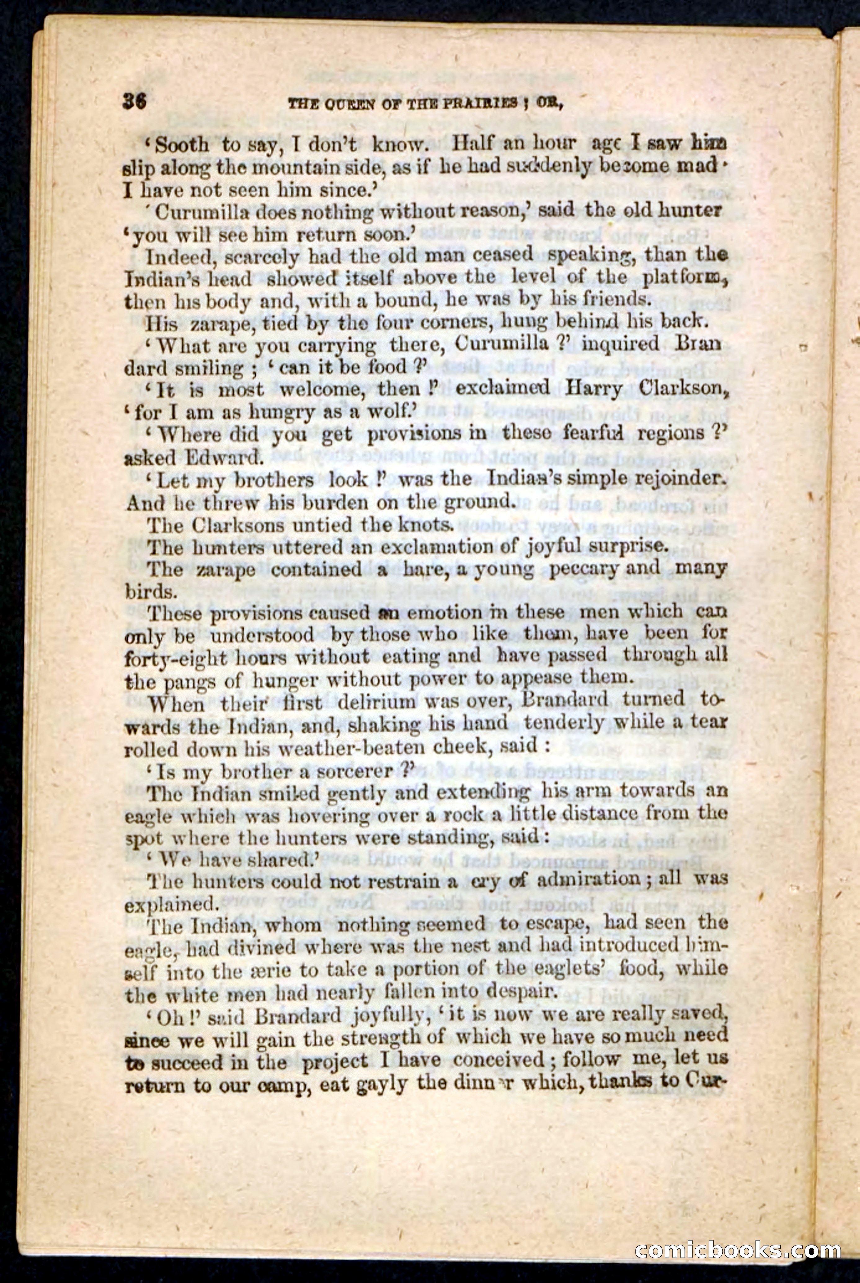 The Prairie Pirates — page 38 of 132