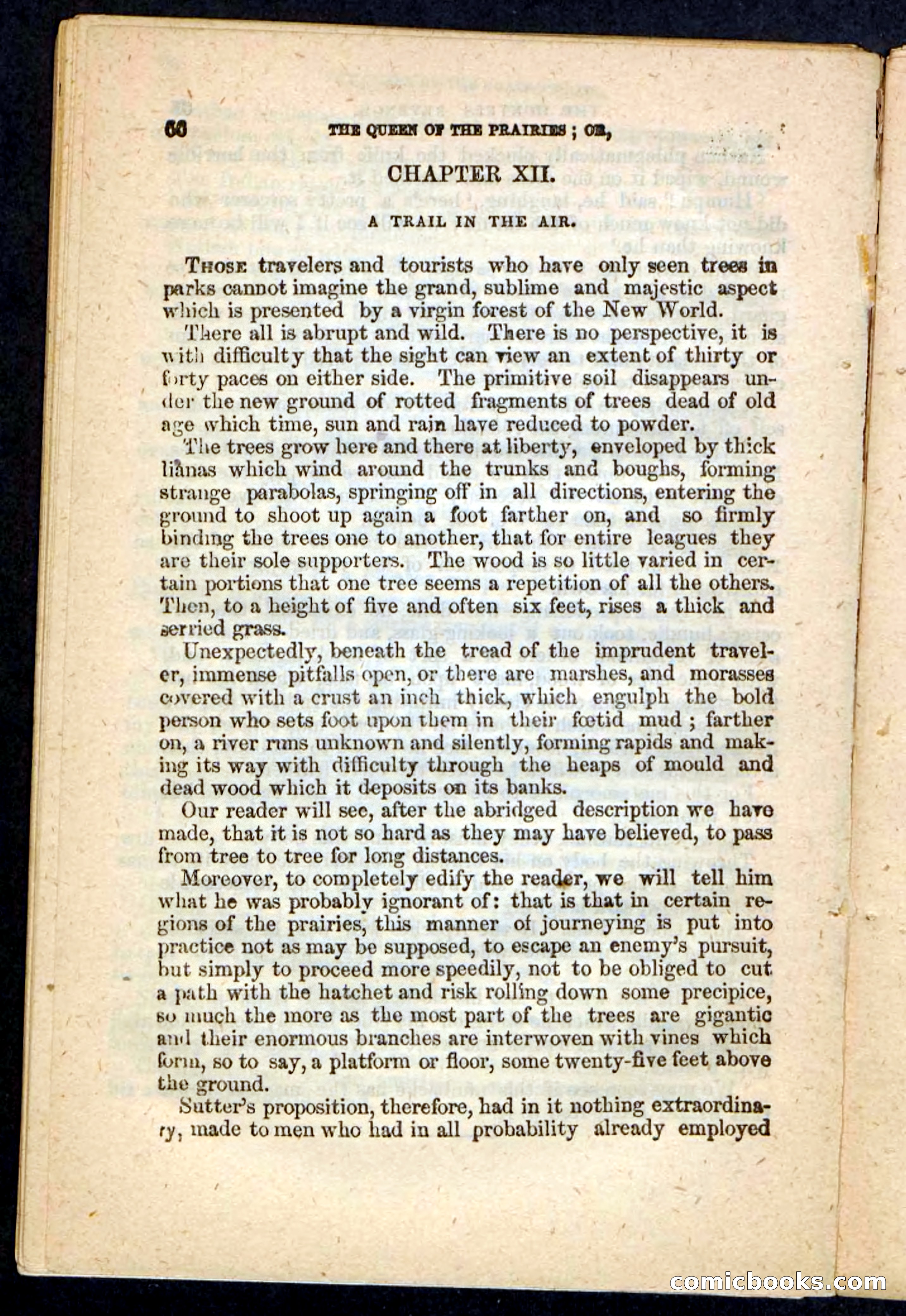 The Prairie Pirates — page 68 of 132