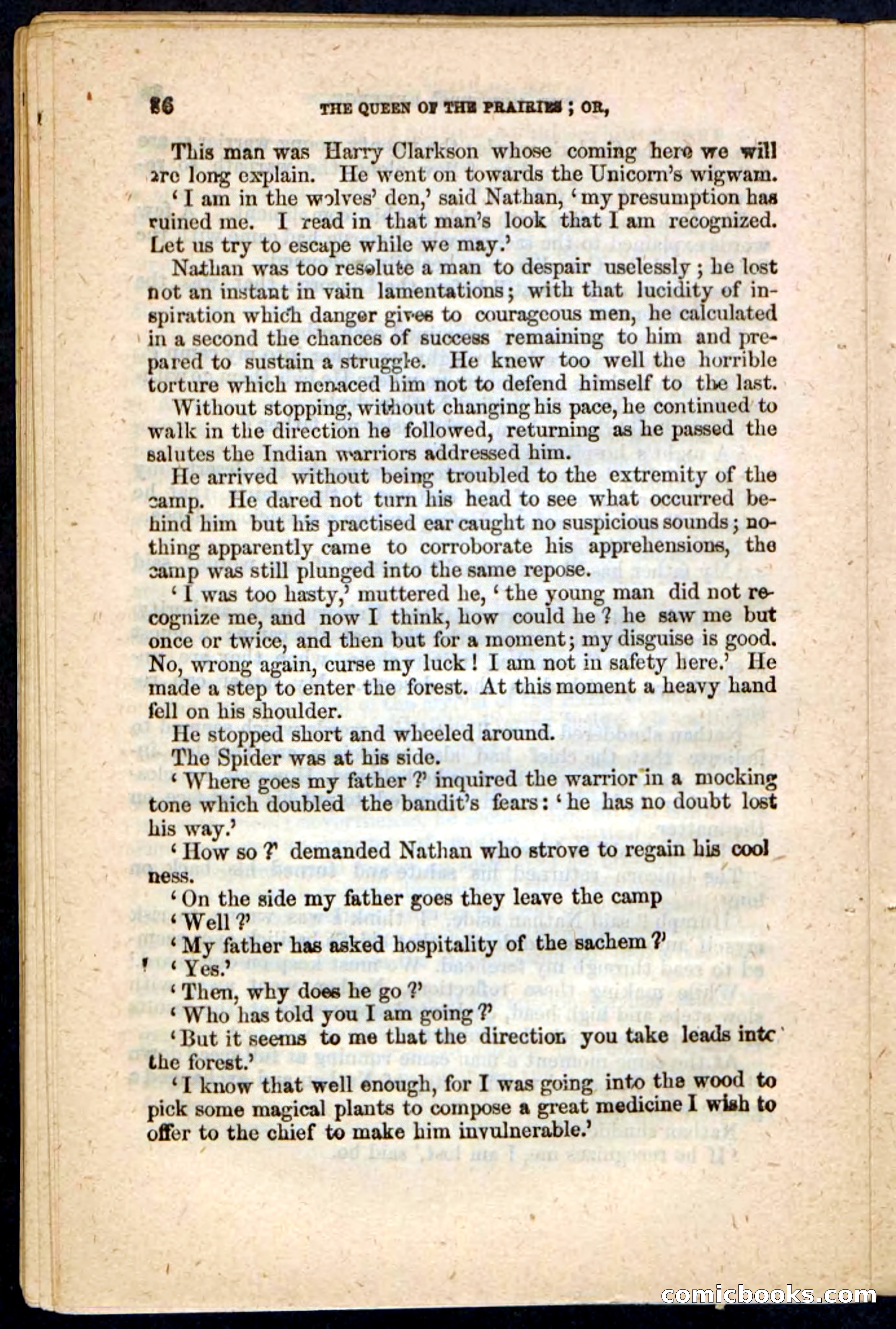 The Prairie Pirates — page 88 of 132