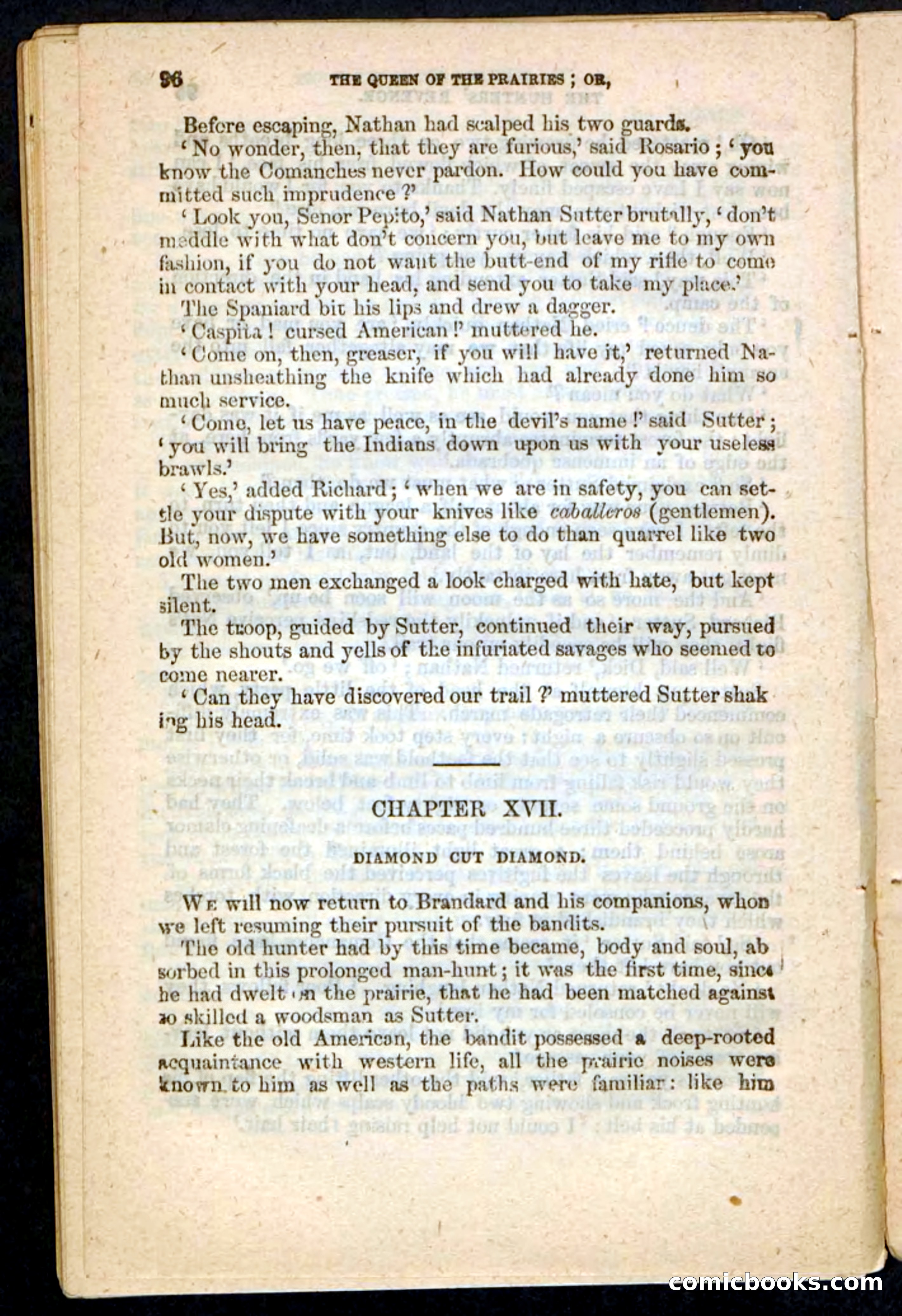 The Prairie Pirates — page 98 of 132