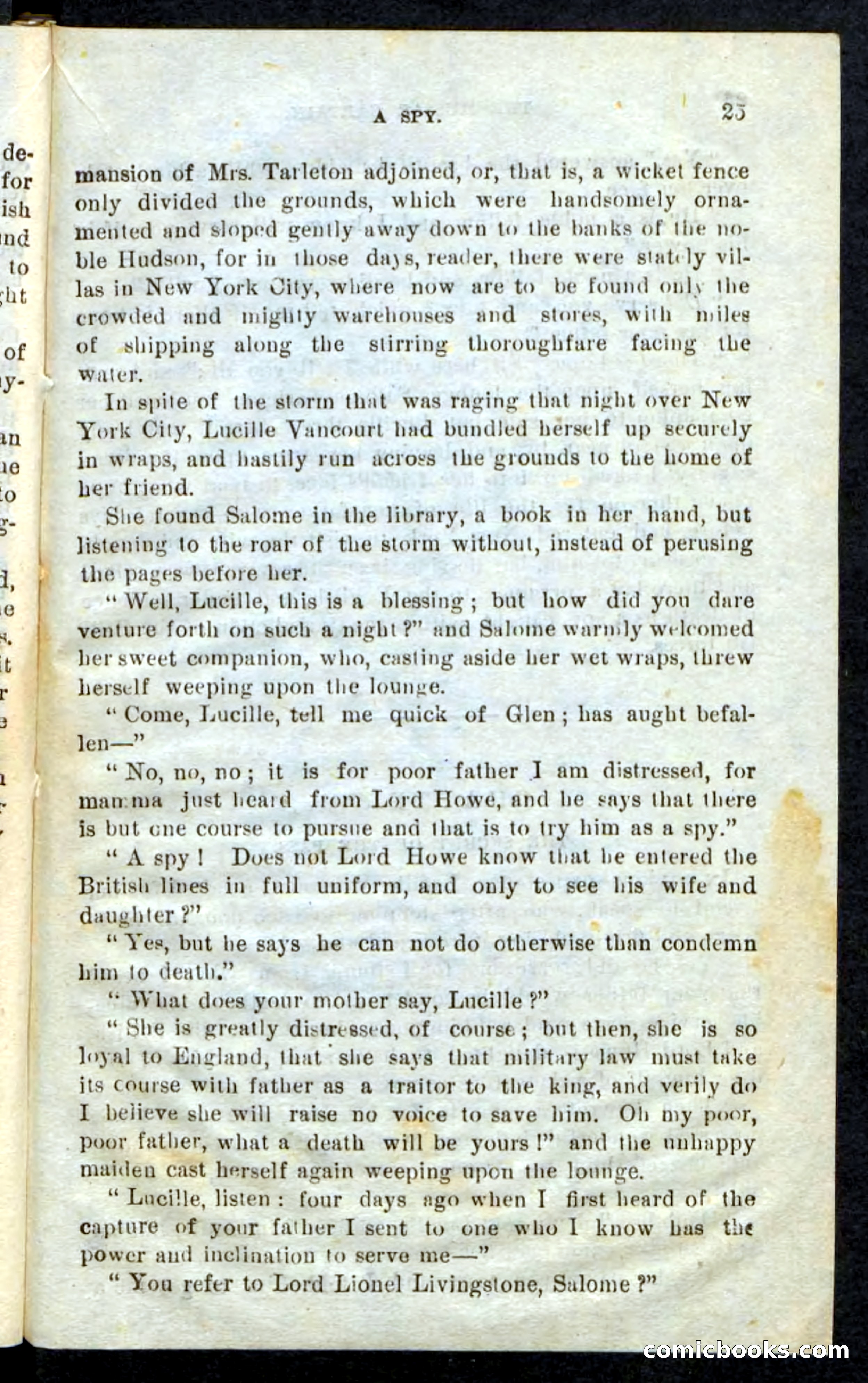The Hussar Captain — page 21 of 100