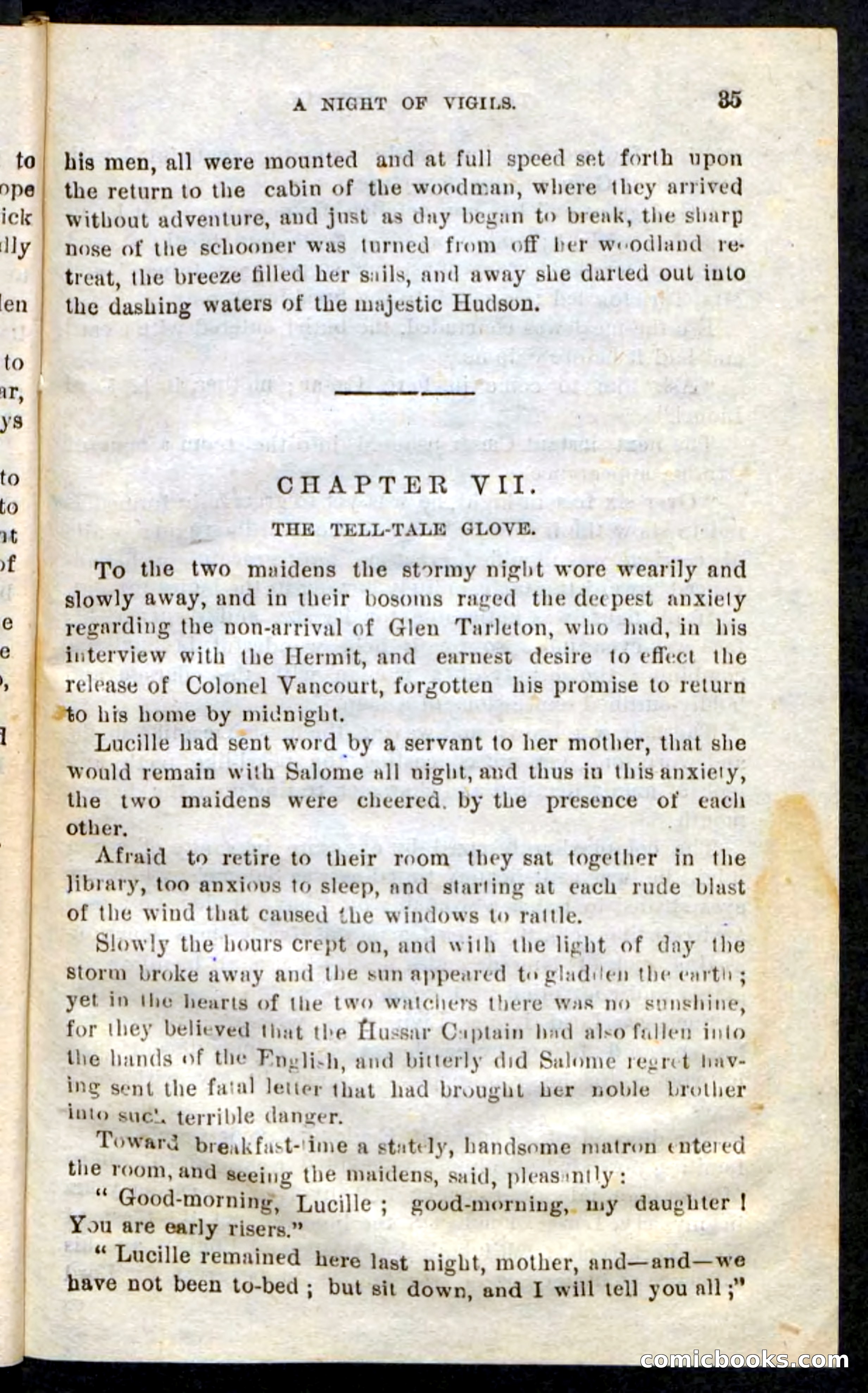 The Hussar Captain — page 31 of 100