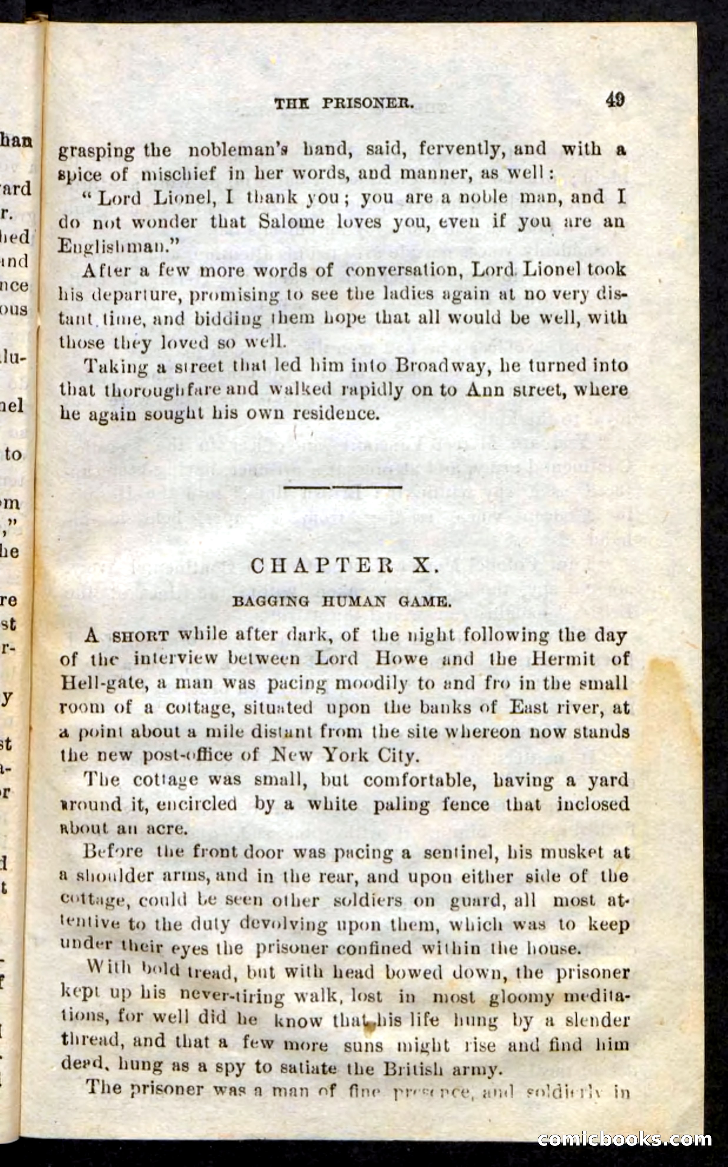 The Hussar Captain — page 45 of 100