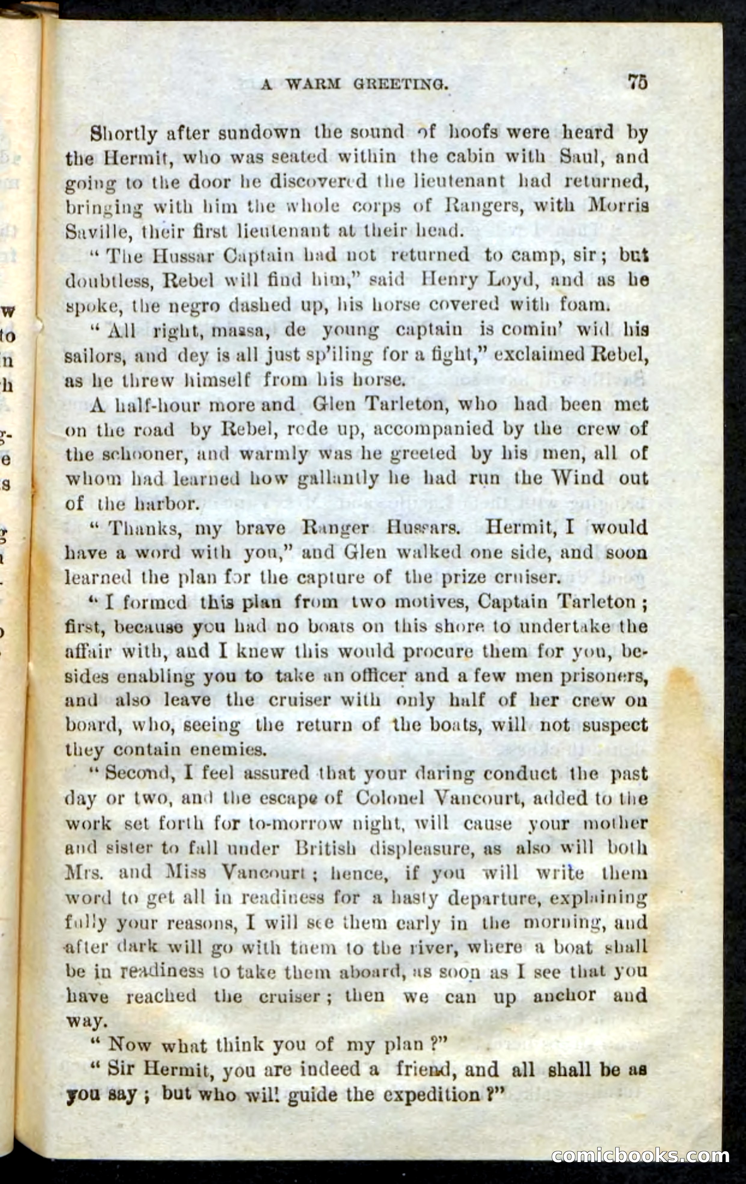 The Hussar Captain — page 71 of 100