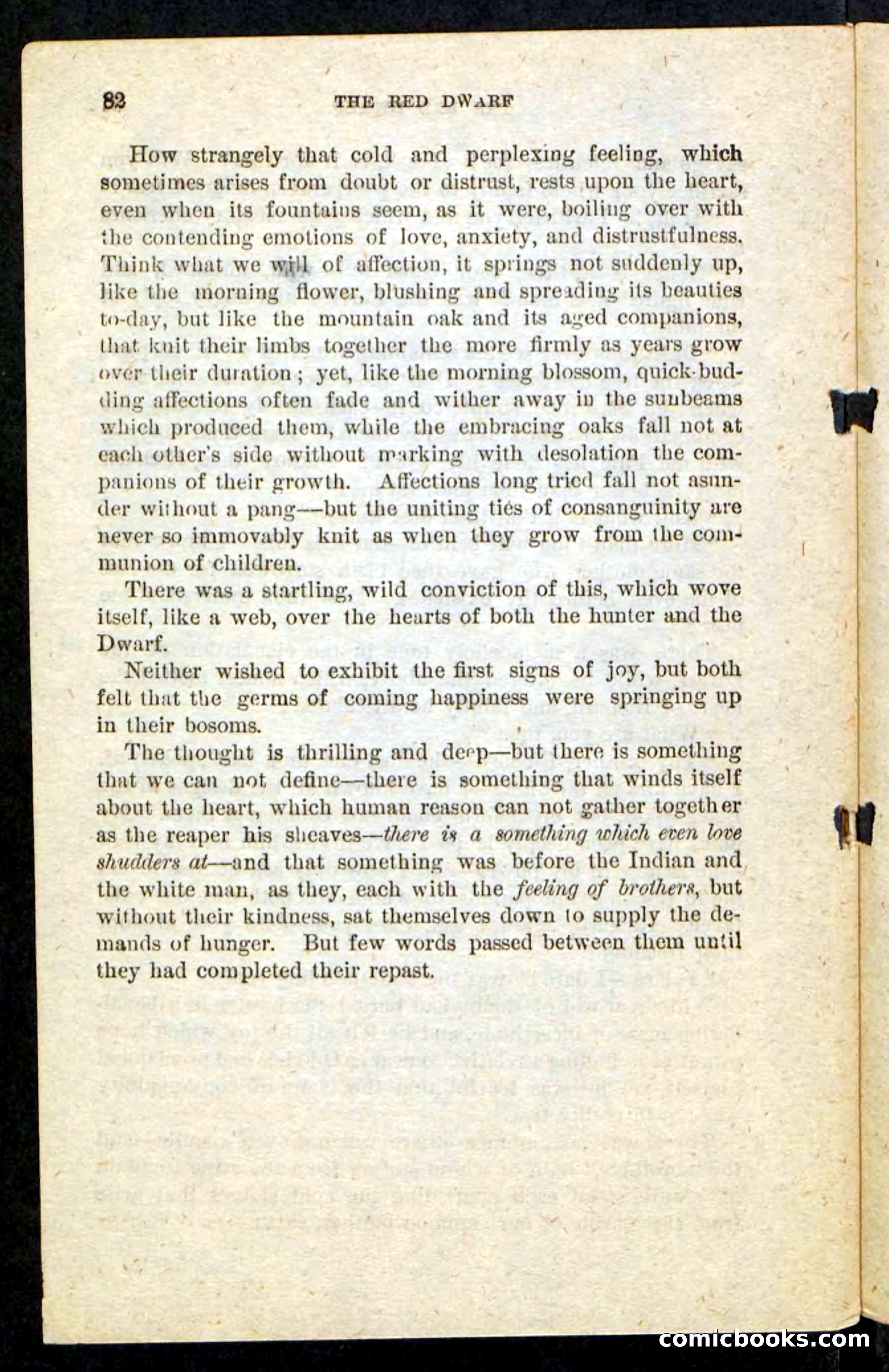 The Red Spy — page 78 of 84