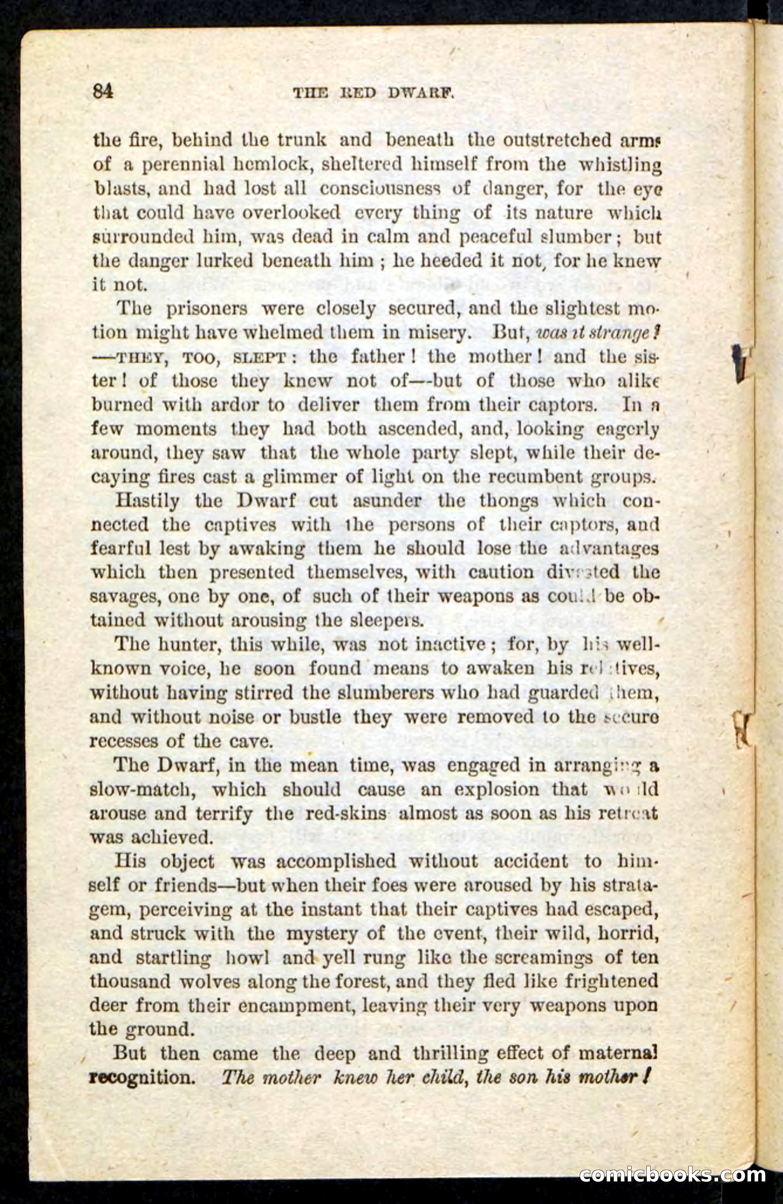 The Red Spy — page 80 of 84