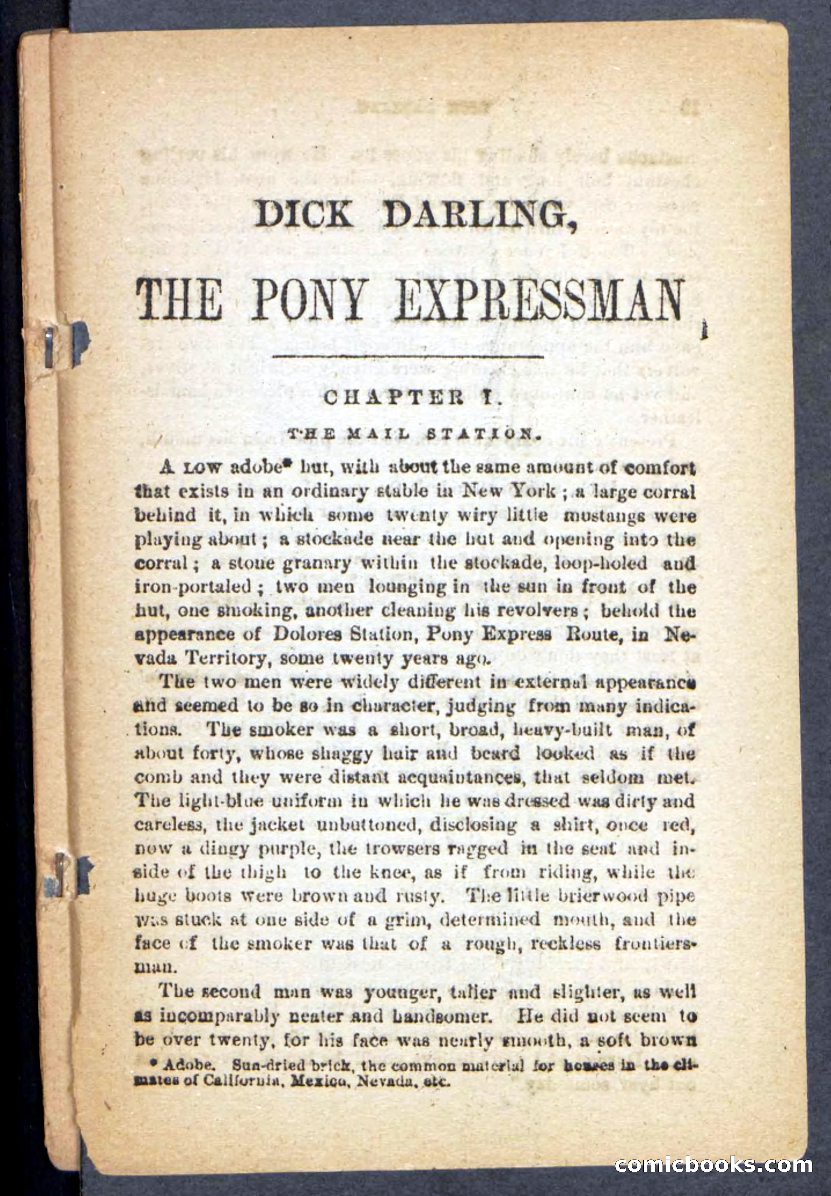 Beadle's Pocket Novels No. 221: Dick Darling — page 5 of 100