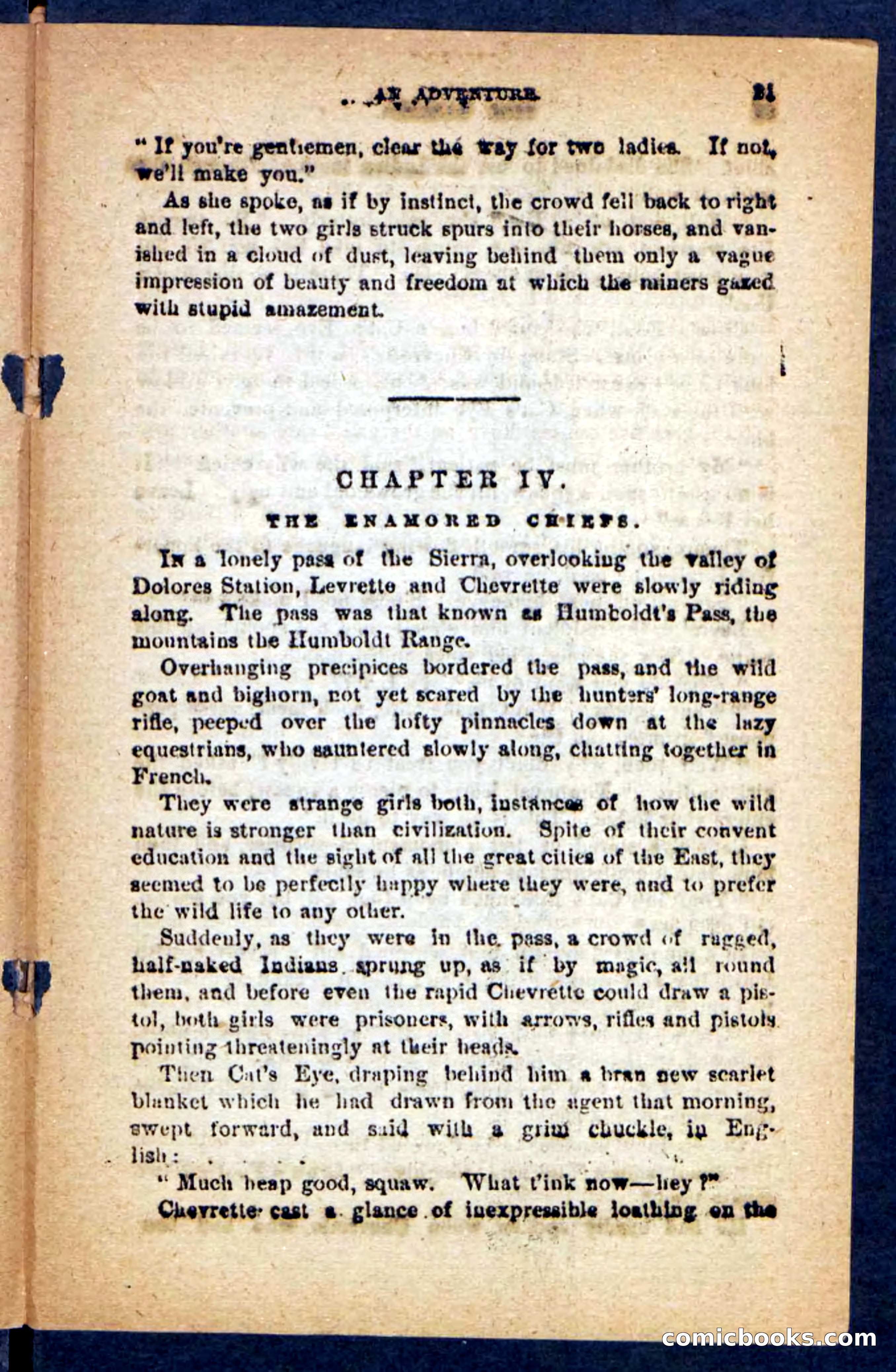 Beadle's Pocket Novels No. 221: Dick Darling — page 17 of 100
