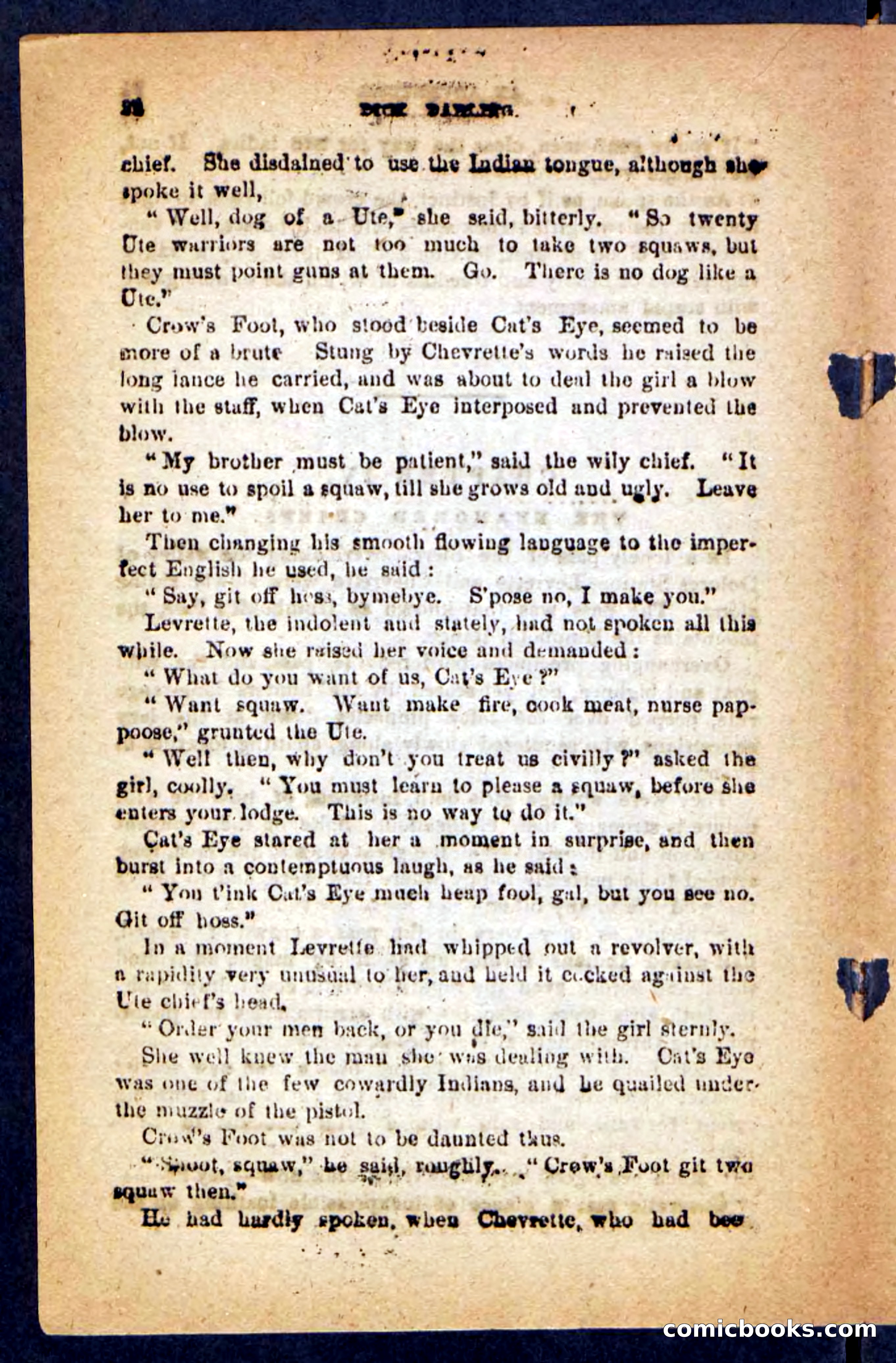 Beadle's Pocket Novels No. 221: Dick Darling — page 18 of 100