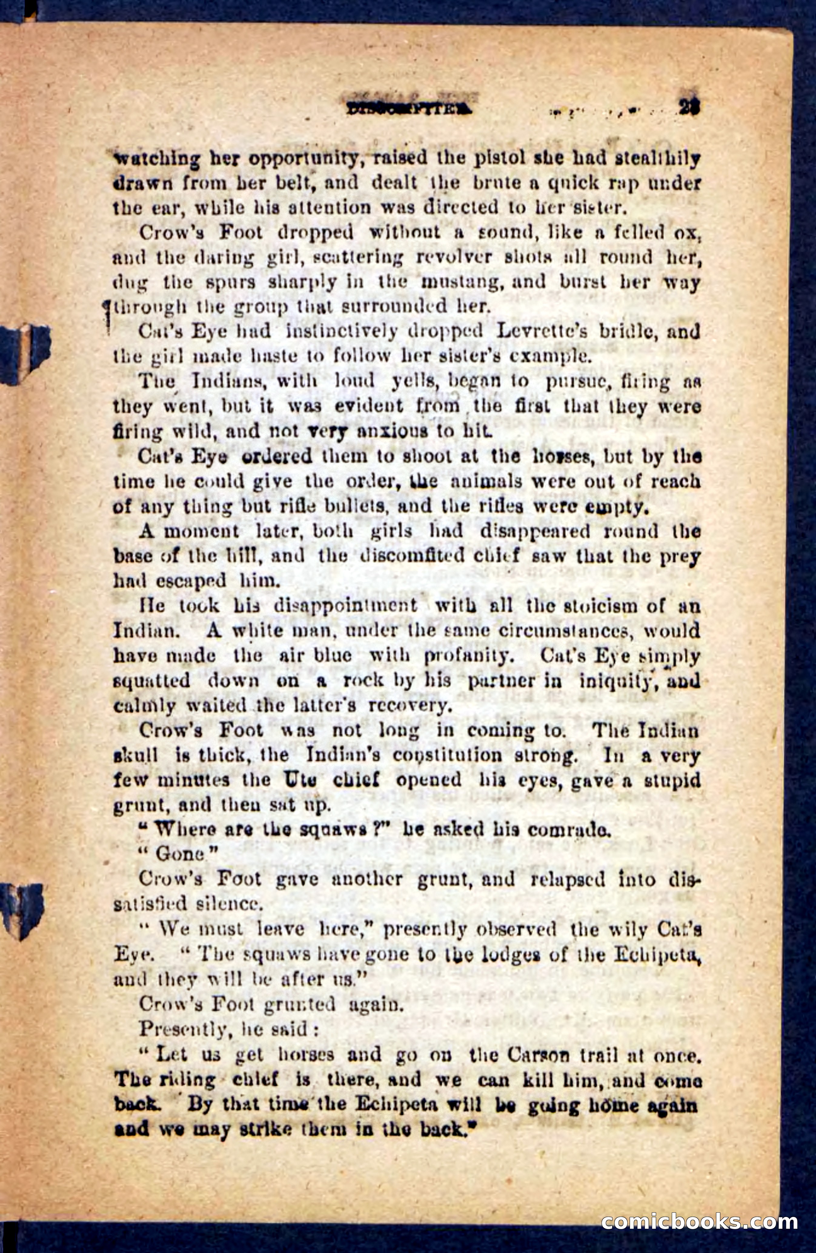 Beadle's Pocket Novels No. 221: Dick Darling — page 19 of 100