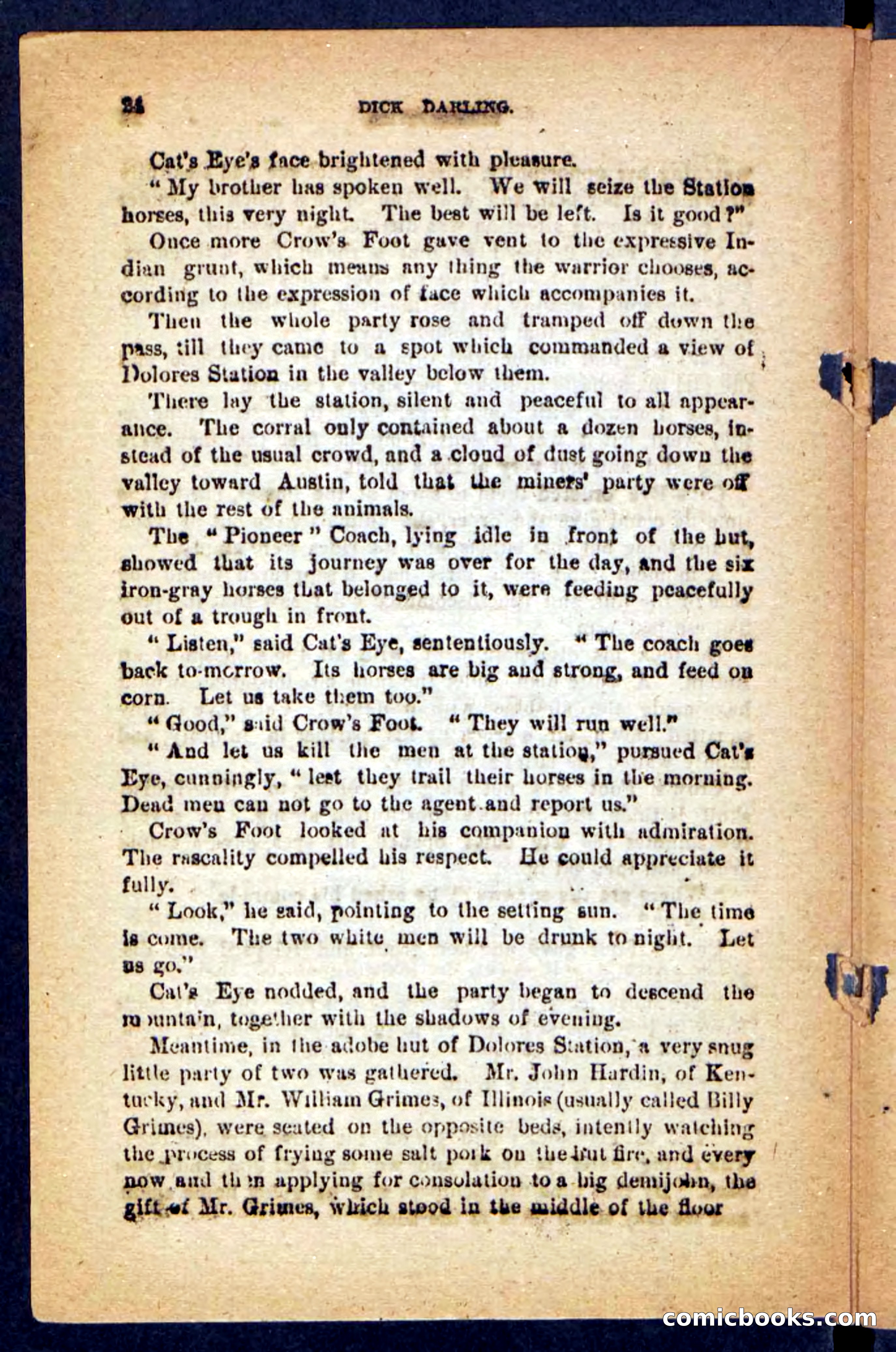 Beadle's Pocket Novels No. 221: Dick Darling — page 20 of 100