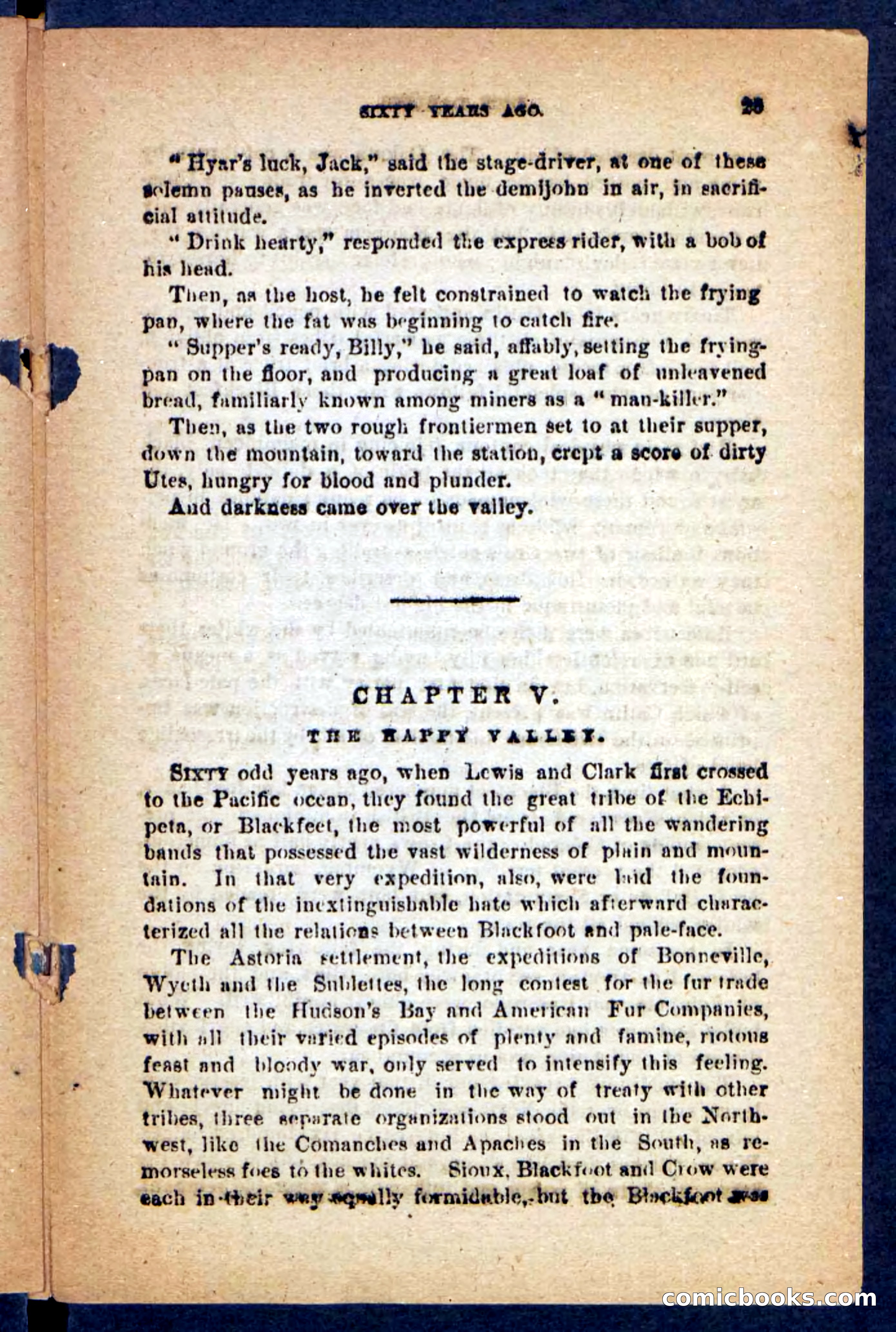 Beadle's Pocket Novels No. 221: Dick Darling — page 21 of 100