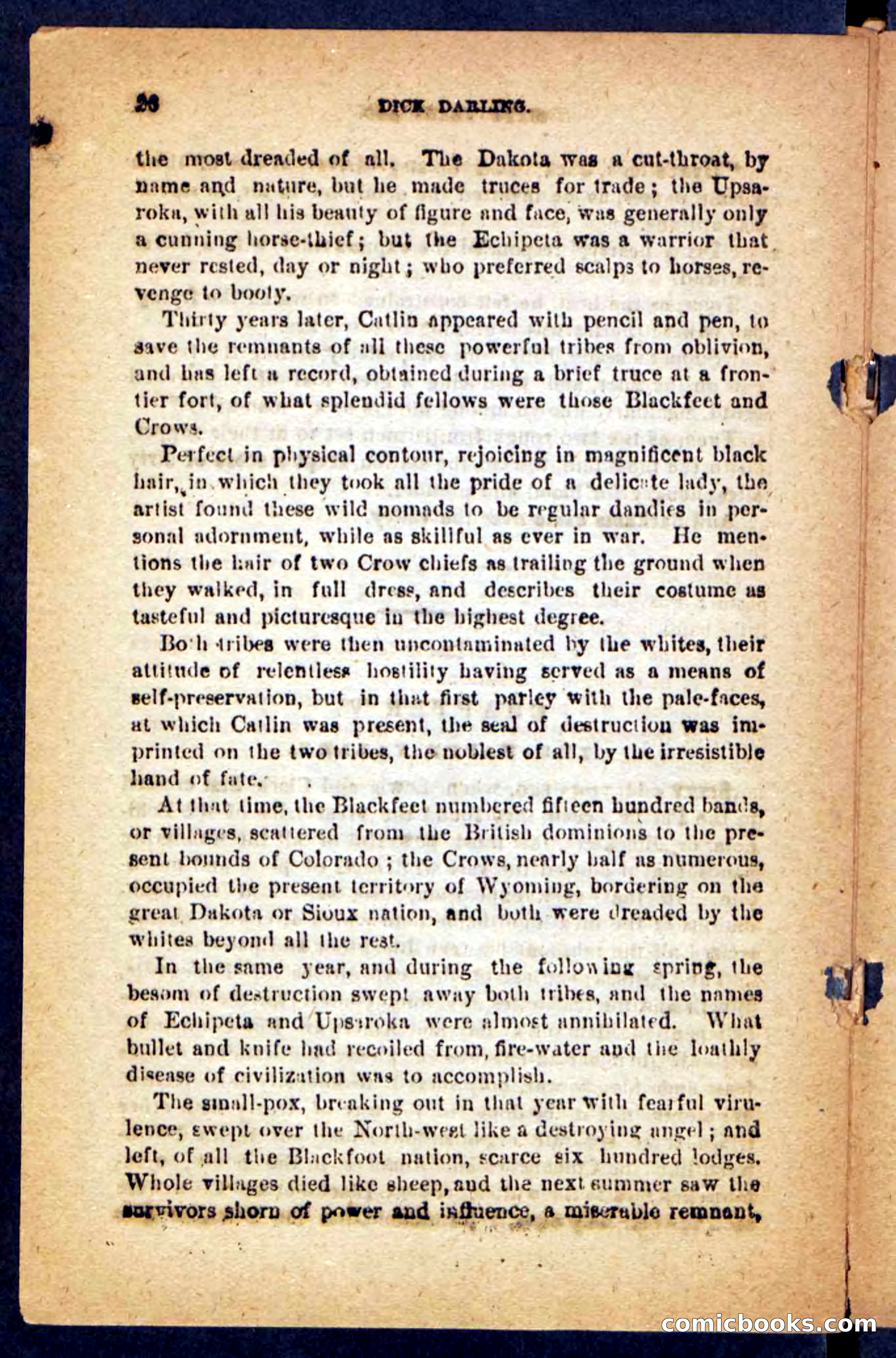 Beadle's Pocket Novels No. 221: Dick Darling — page 22 of 100