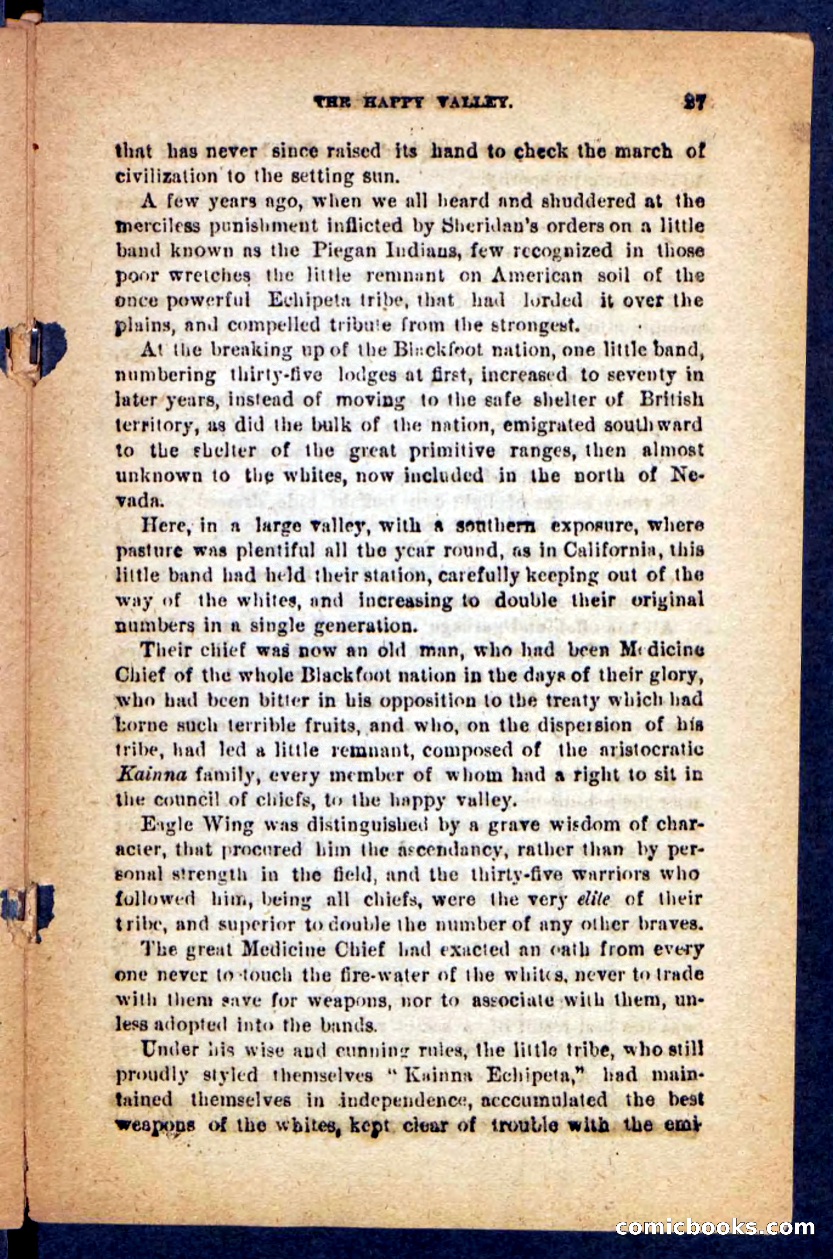 Beadle's Pocket Novels No. 221: Dick Darling — page 23 of 100