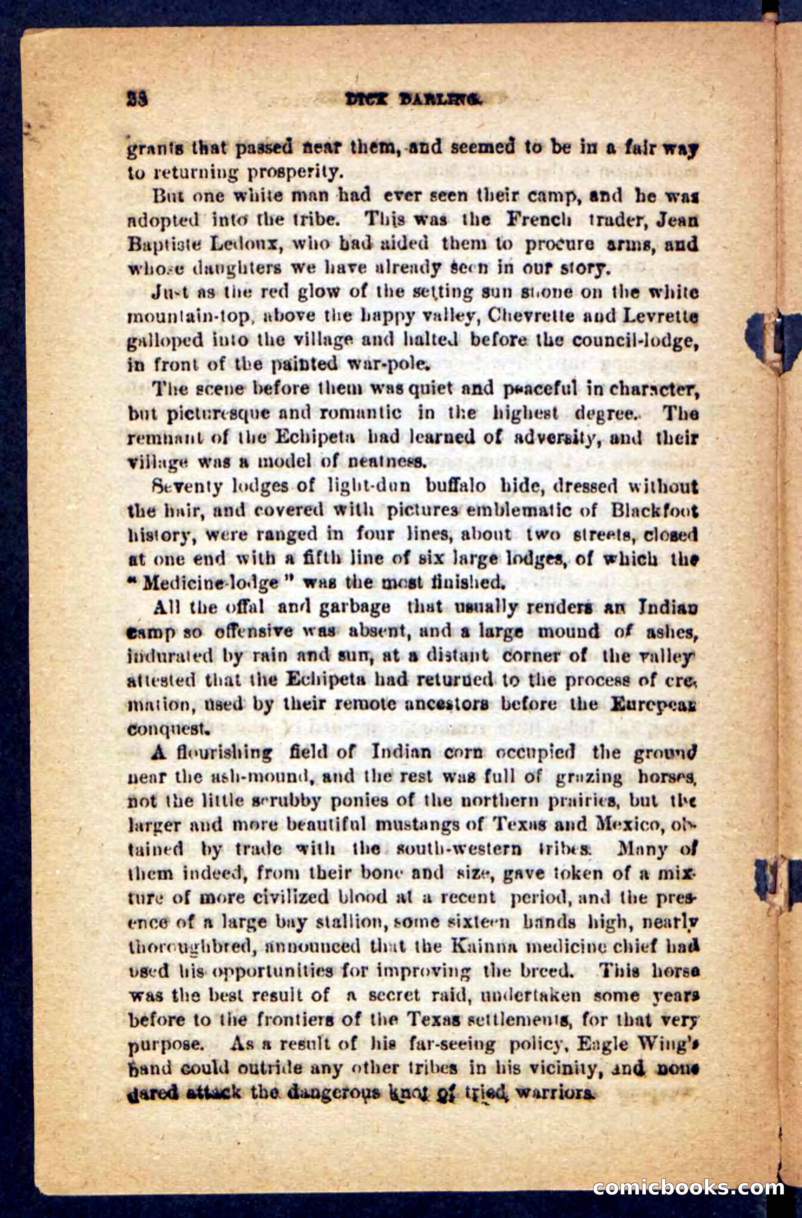 Beadle's Pocket Novels No. 221: Dick Darling — page 24 of 100